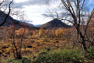 00022Abisko-sep2011.jpg