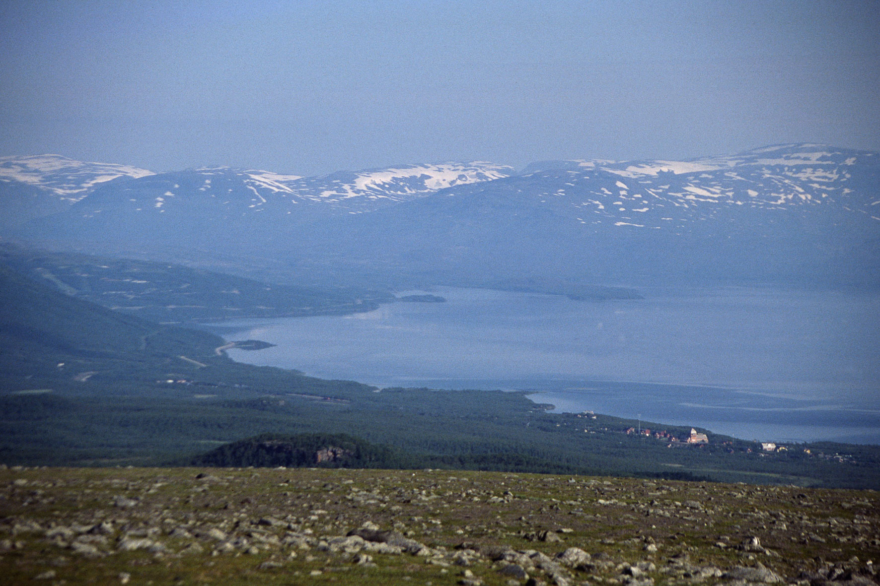 00049Haraldblå-2005w.jpg