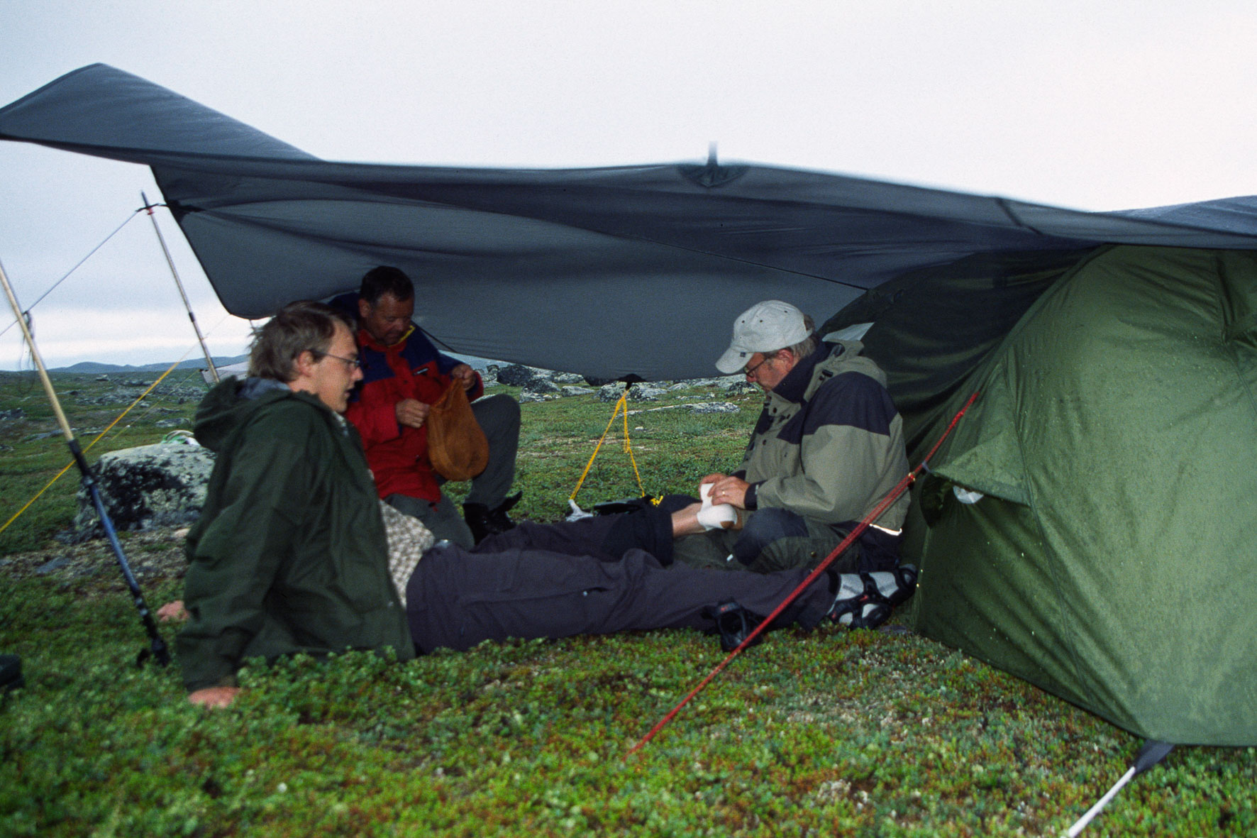 00066Haraldblå-2005w.jpg