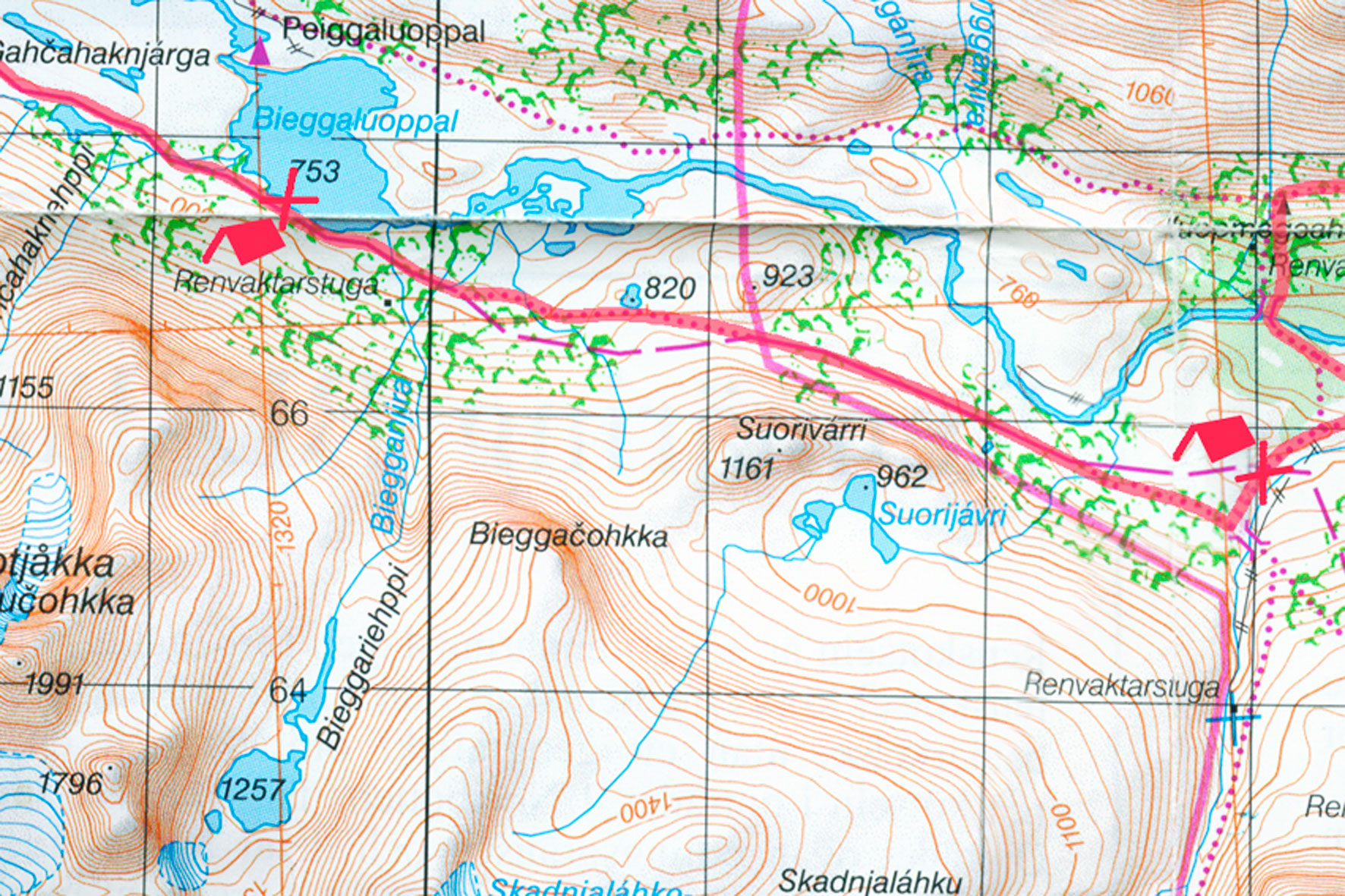 00096Haraldblå-2005w.jpg