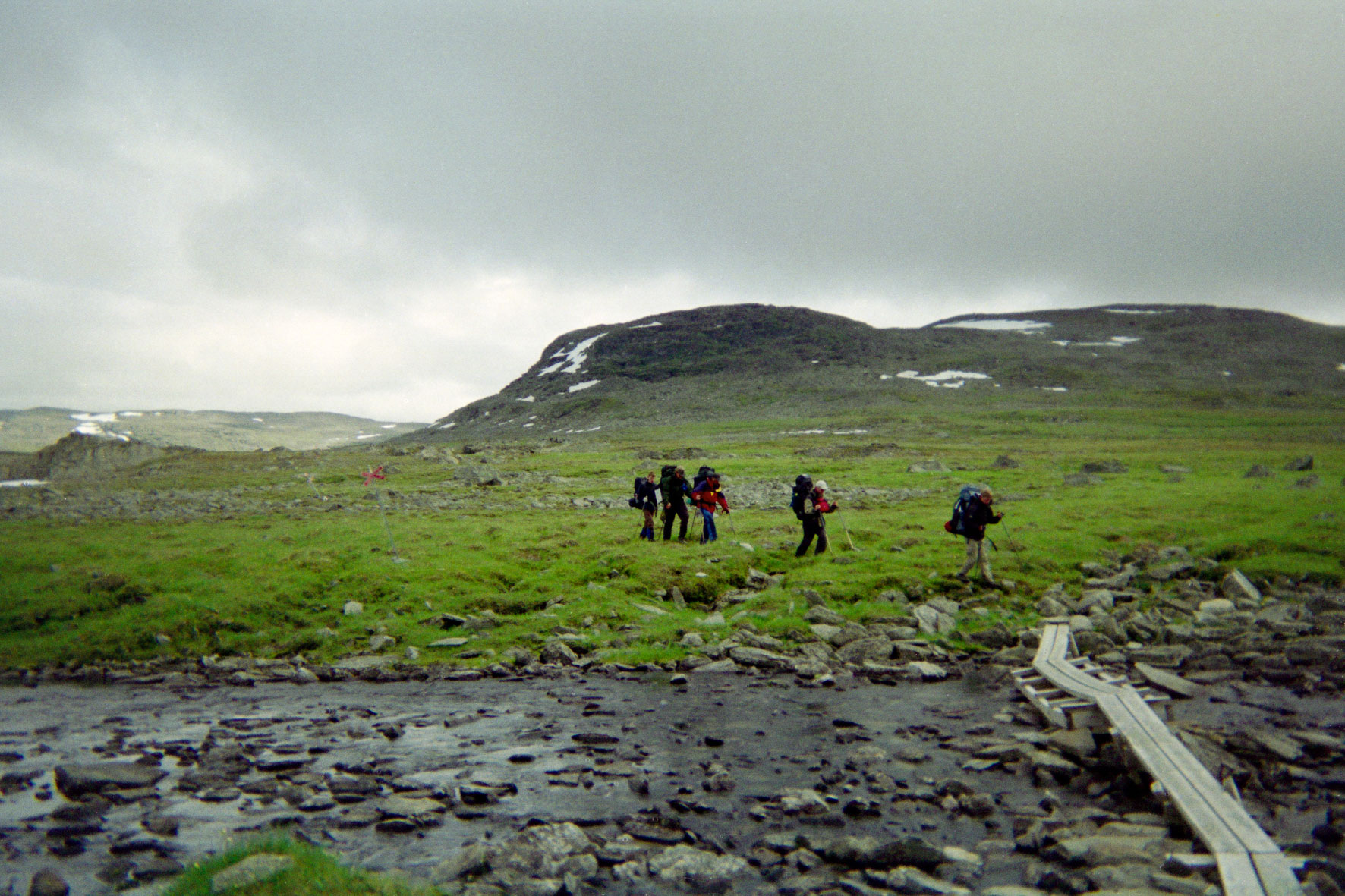 00158Haraldblå-2005w.jpg