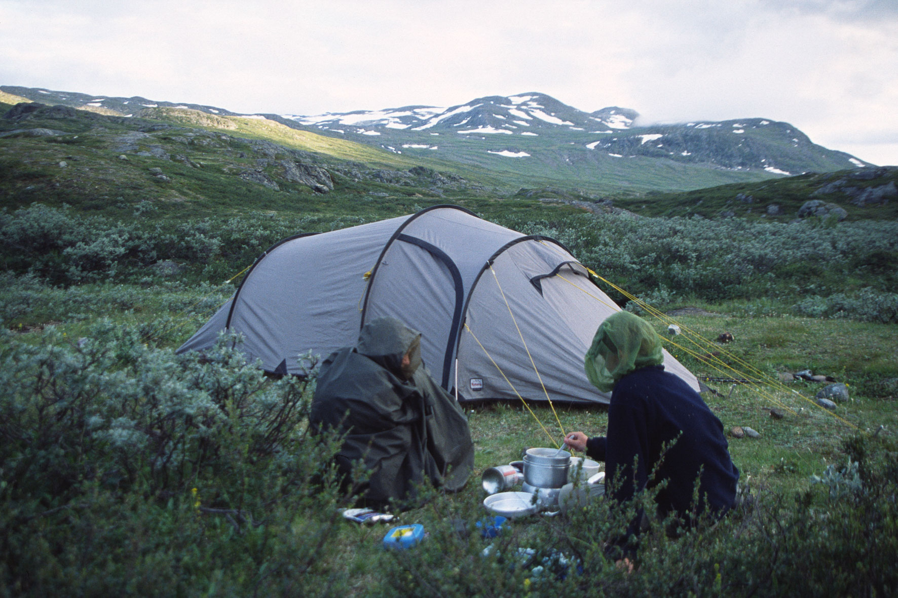 00180Haraldblå-2005w.jpg