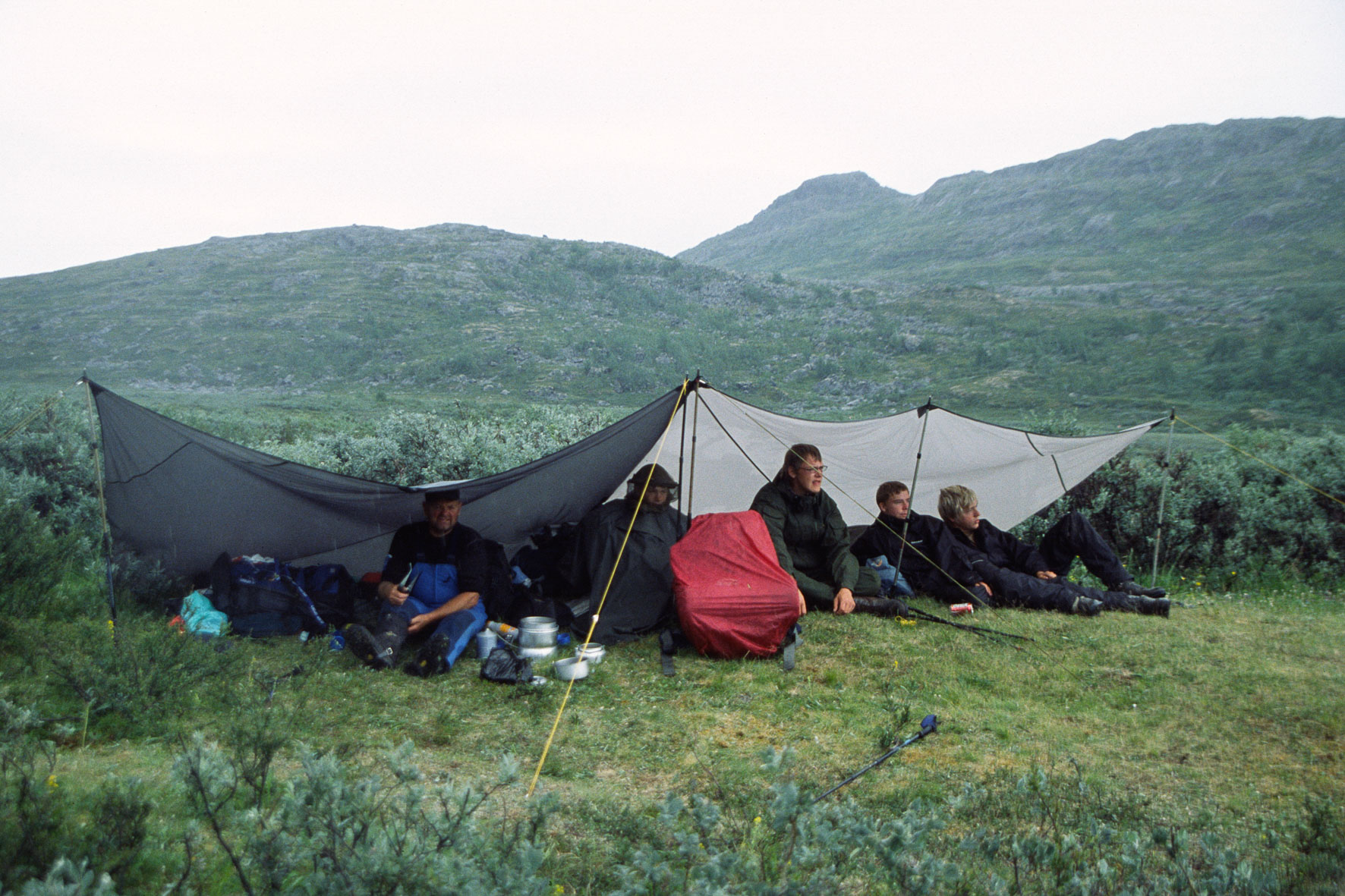 00186Haraldblå-2005w.jpg