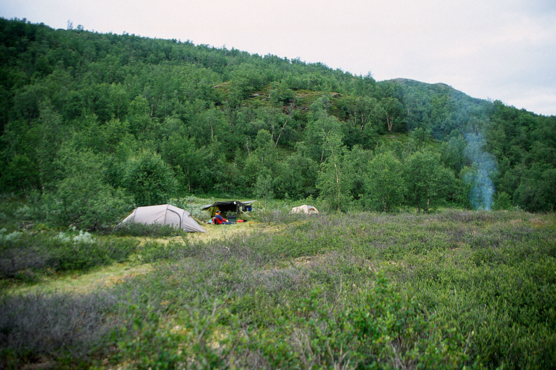 00194Haraldblå-2005w.jpg