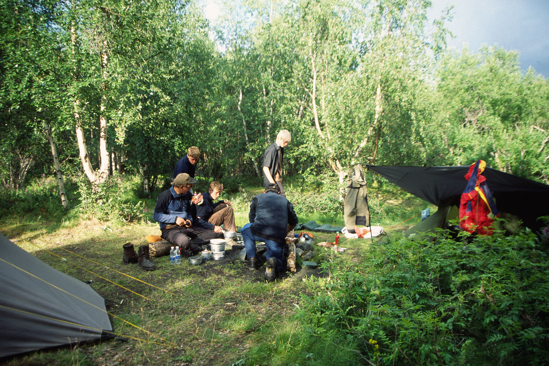 00206Haraldblå-2005w.jpg