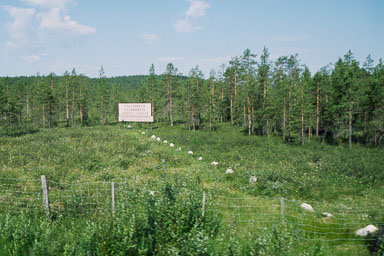 00018Haraldblå-2005w.jpg