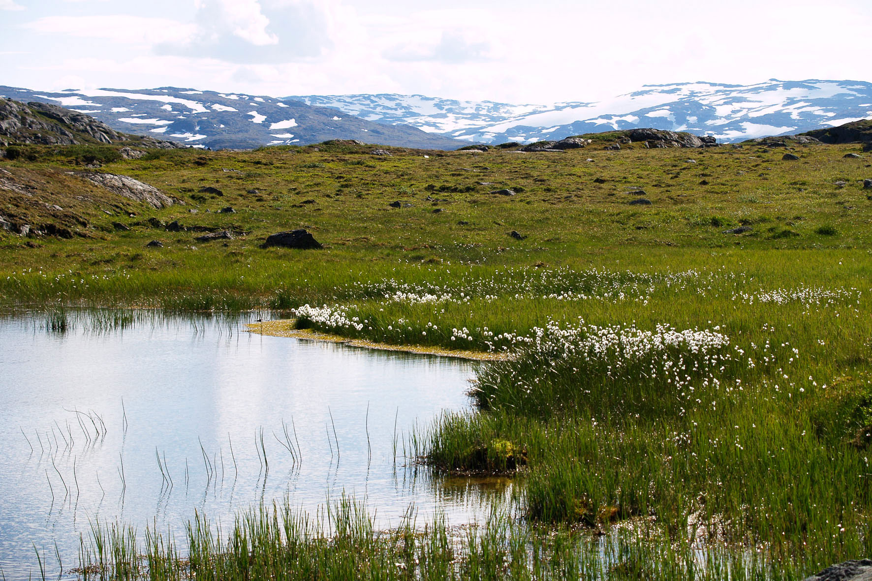 Abisko2008157.jpg