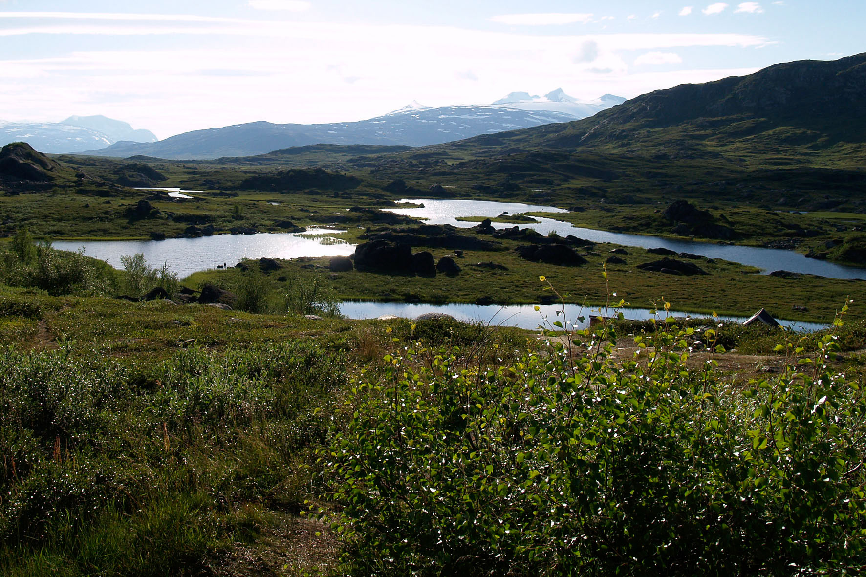 Abisko2008171.jpg