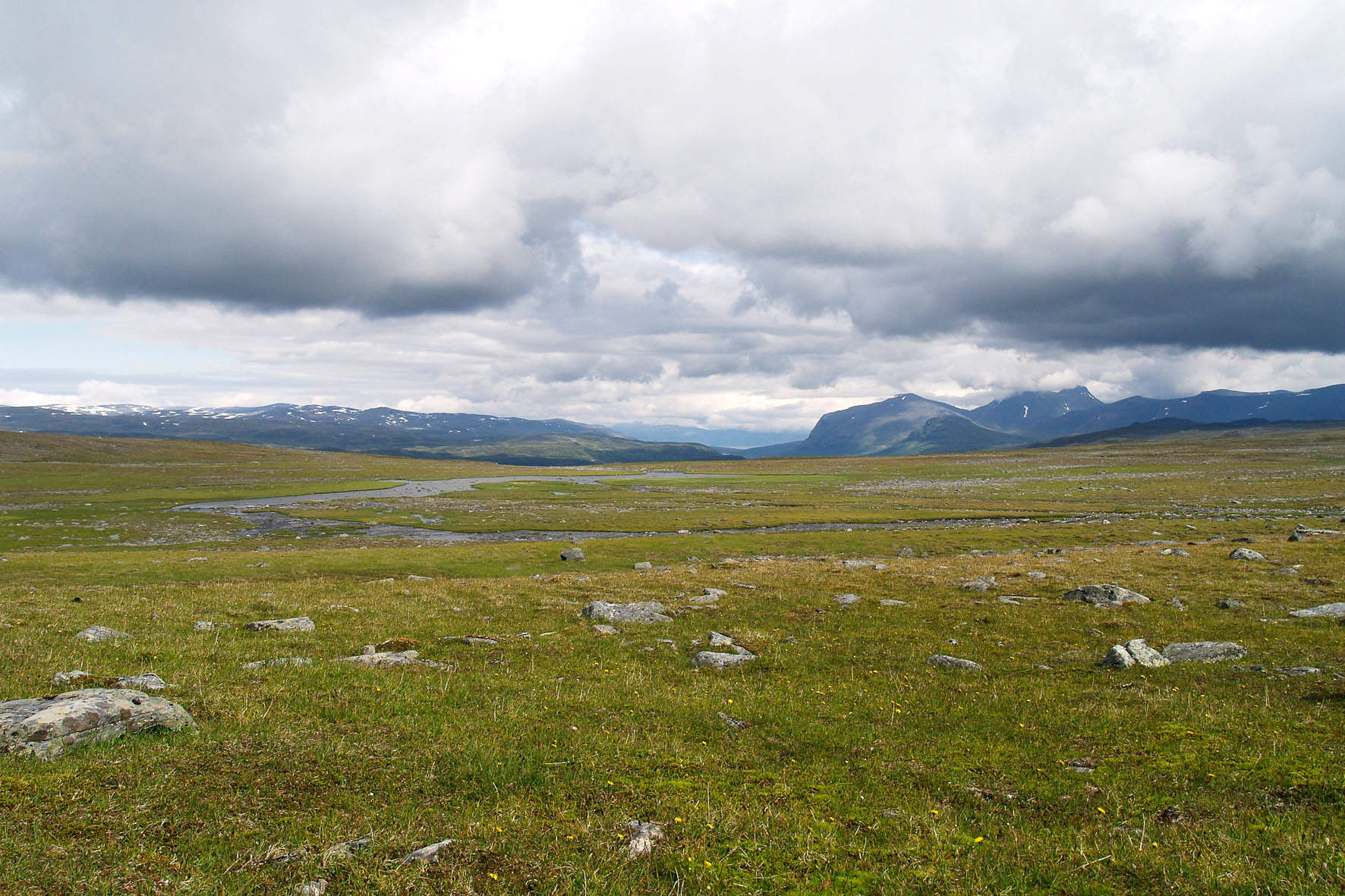 Abisko2008196.jpg