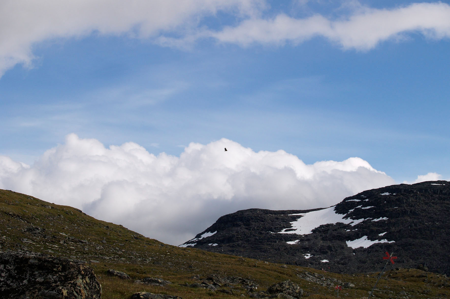 Abisko2008211.jpg