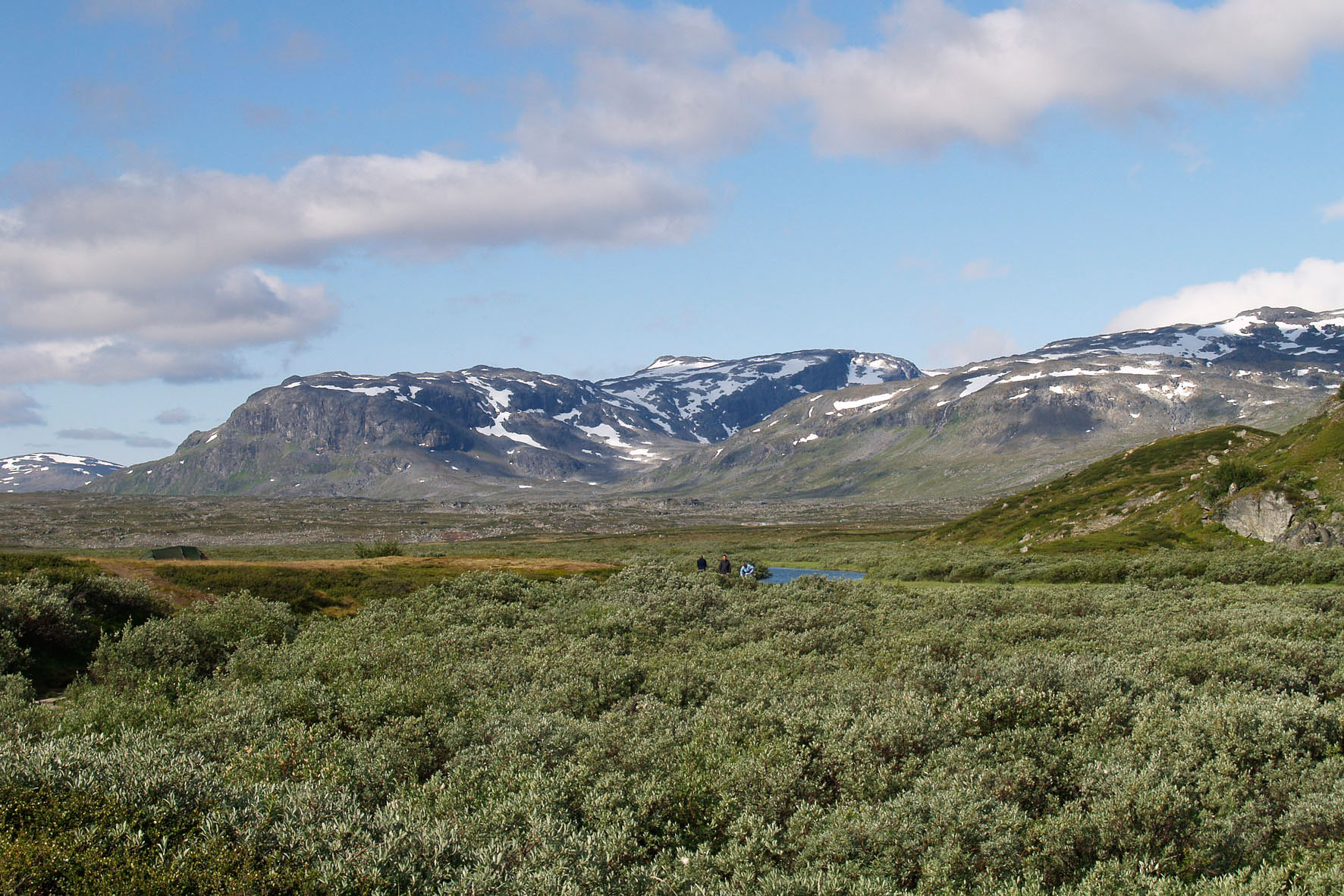 Abisko2008247.jpg