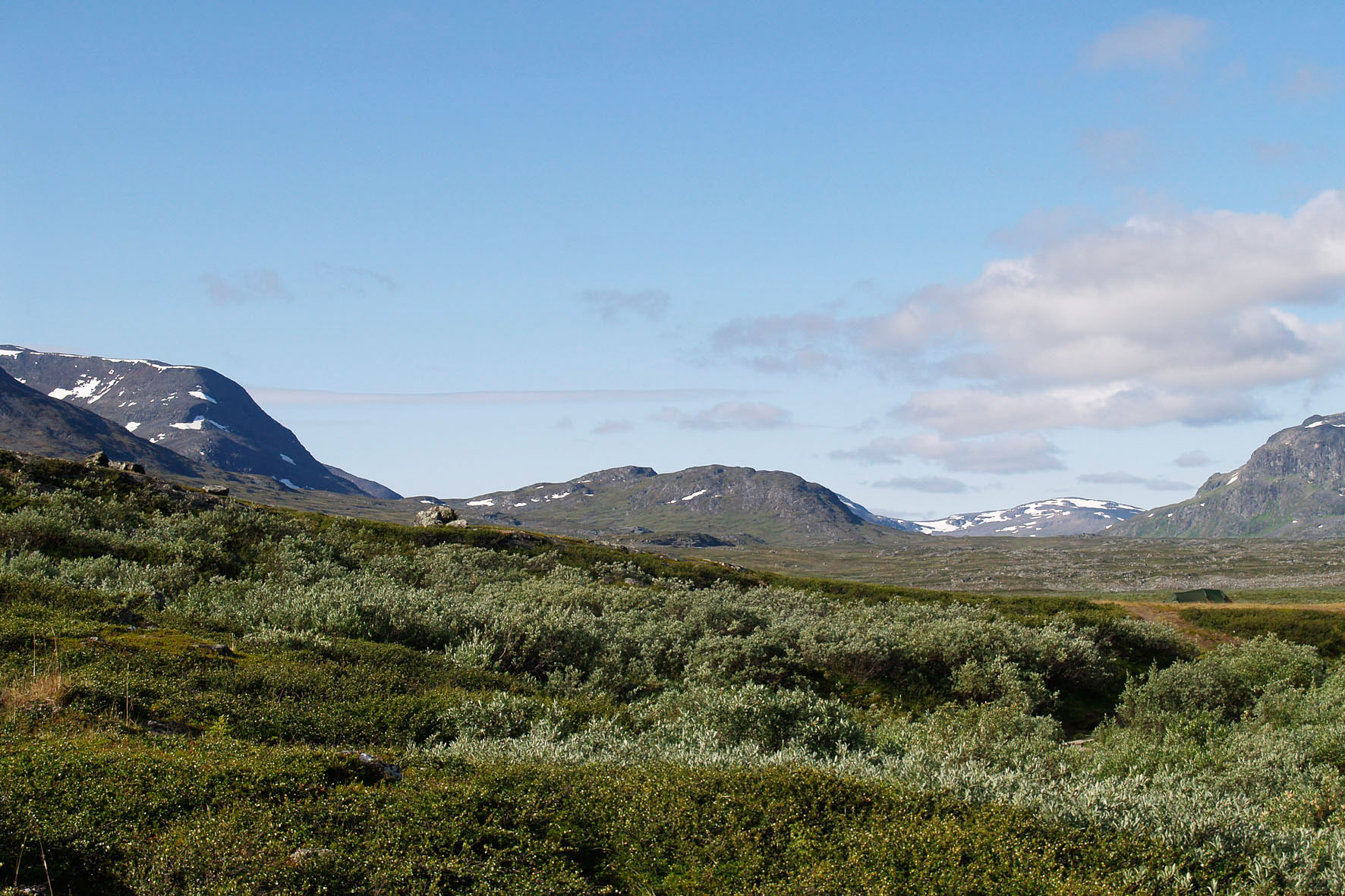 Abisko2008249.jpg