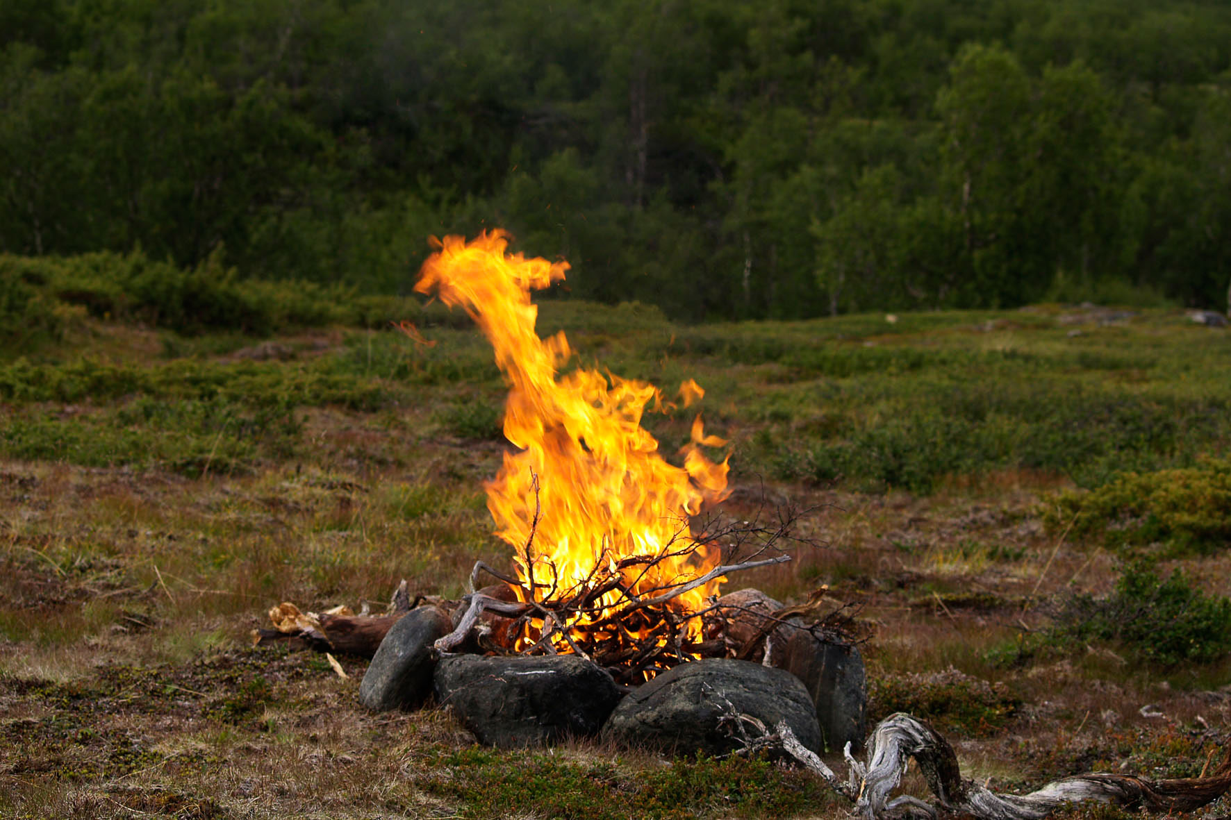 Abisko2008399.jpg