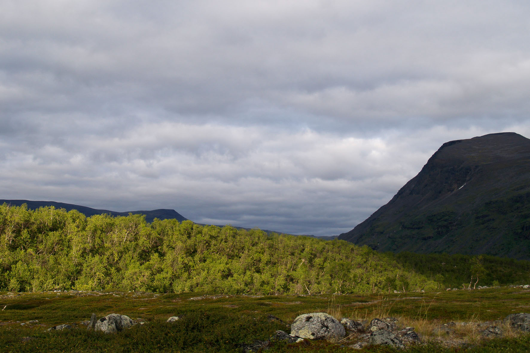 Abisko2008403.jpg