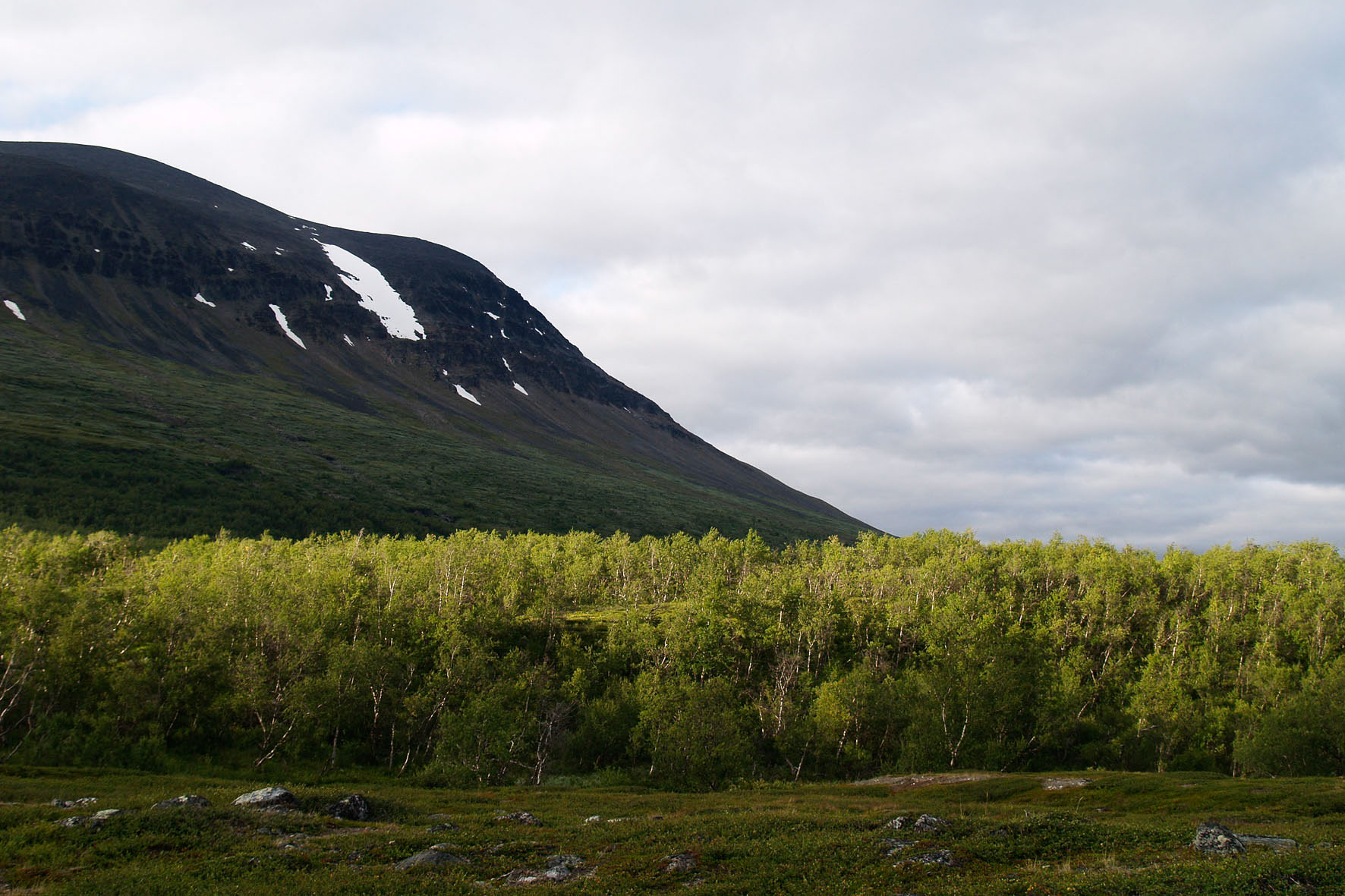 Abisko2008404.jpg