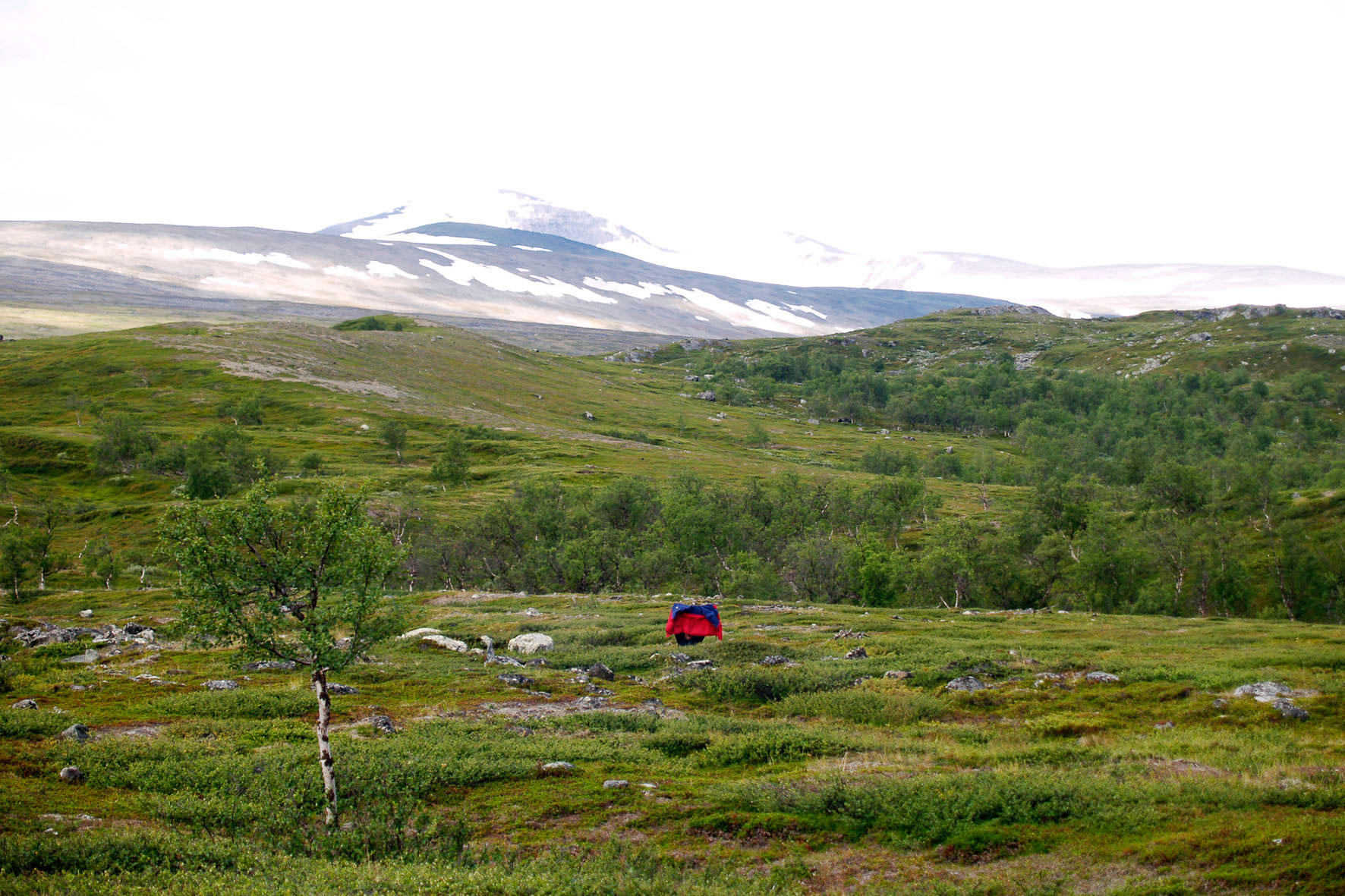 Abisko2008408.jpg