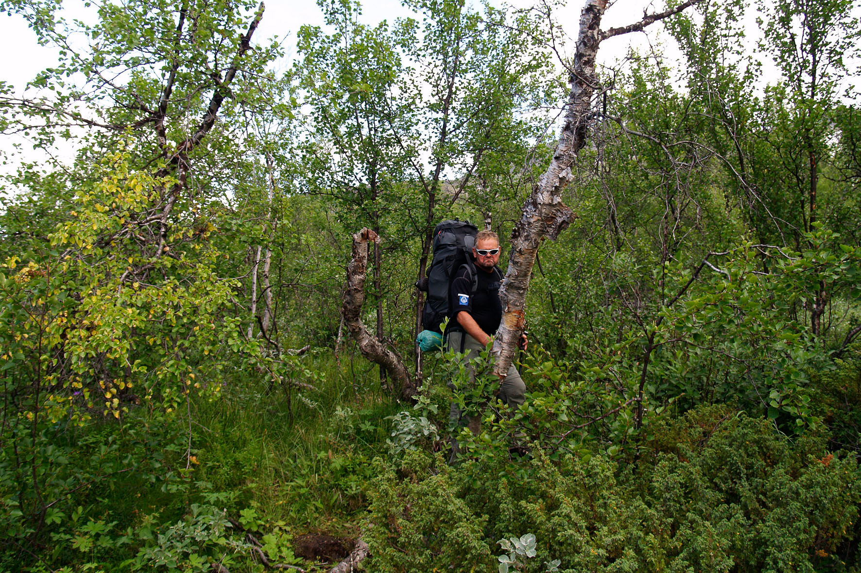 Abisko2008414.jpg