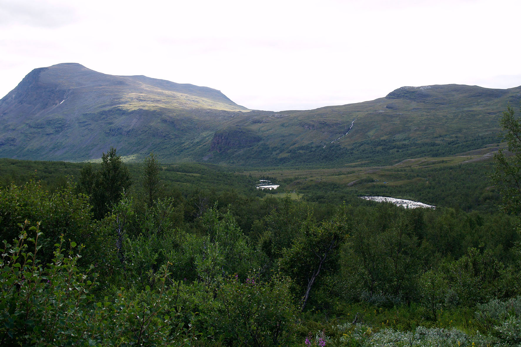 Abisko2008415.jpg