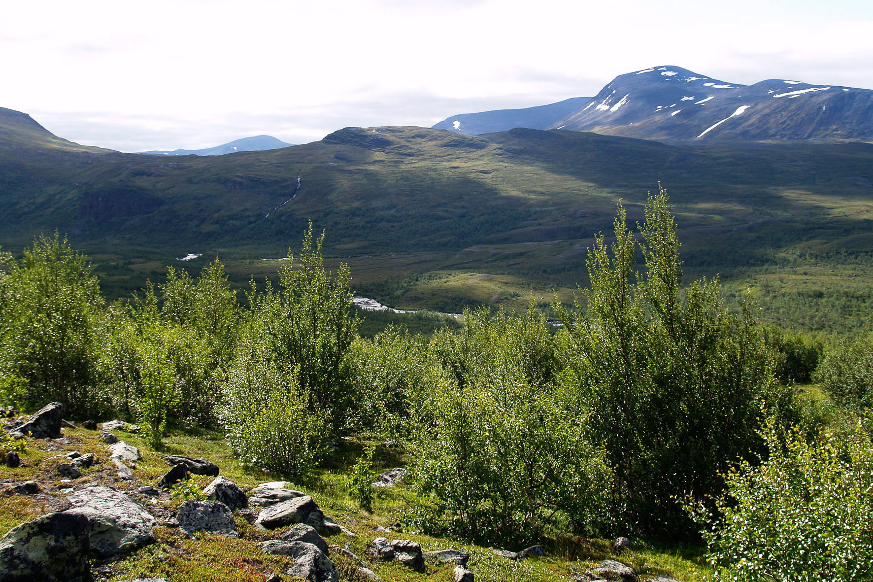 Abisko2008421.jpg