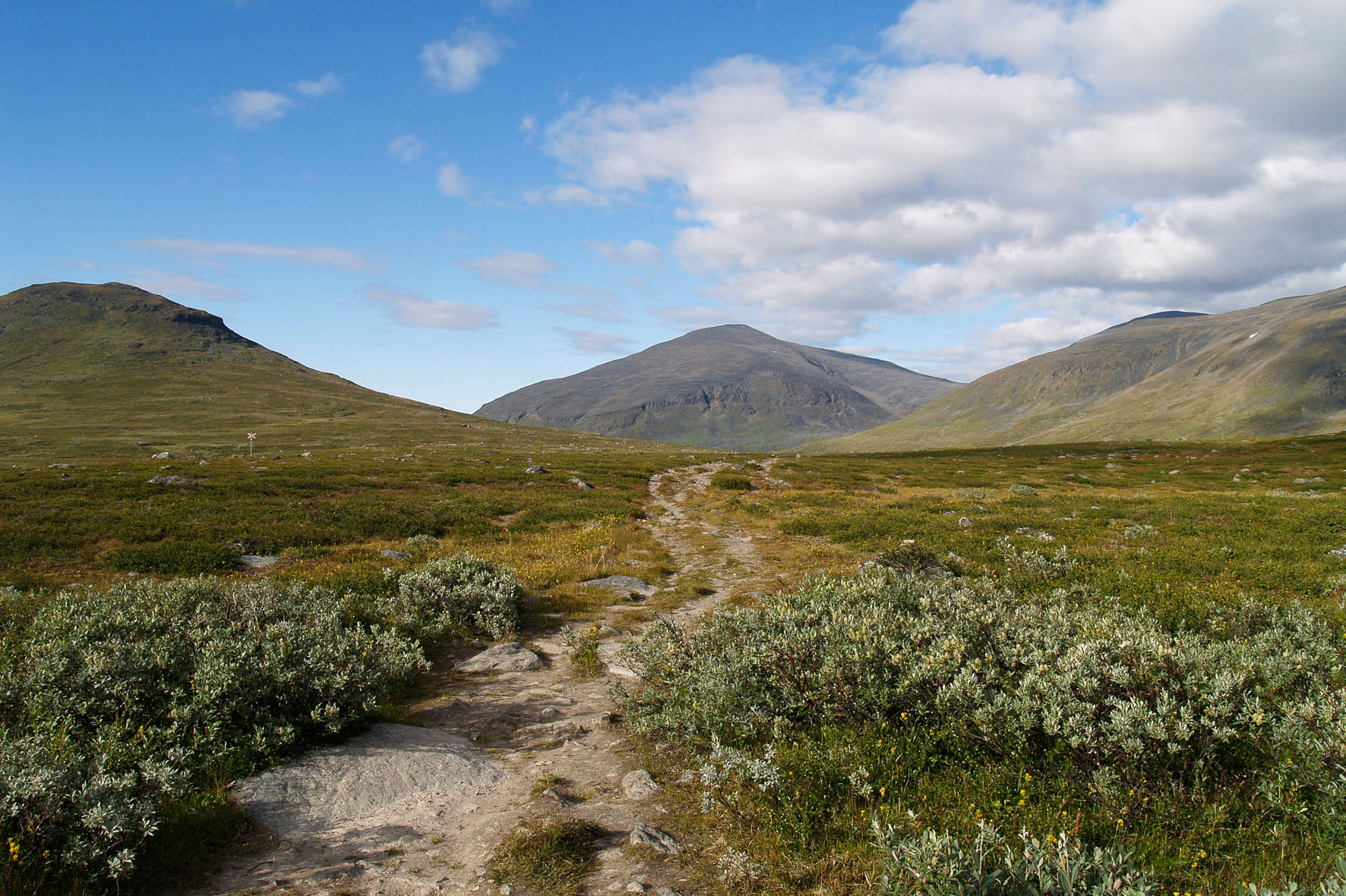 Abisko2008458.jpg