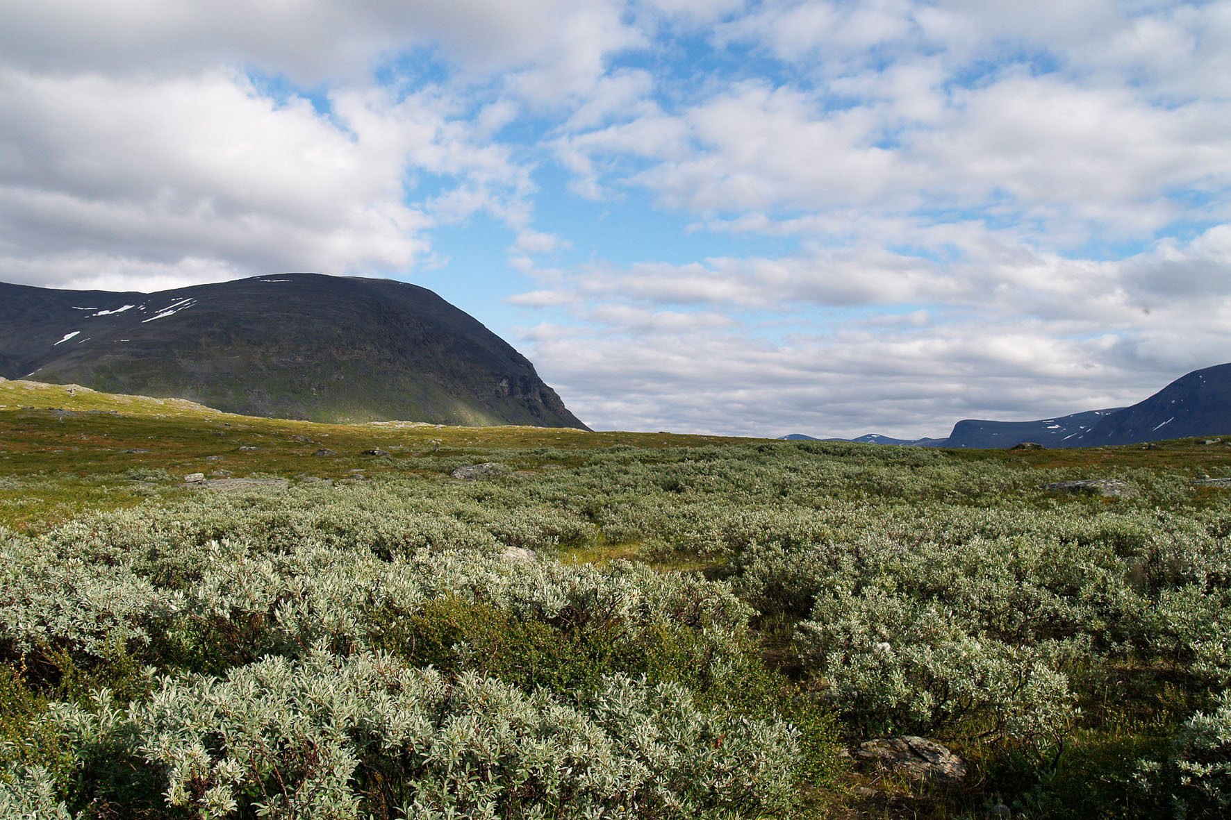 Abisko2008459.jpg