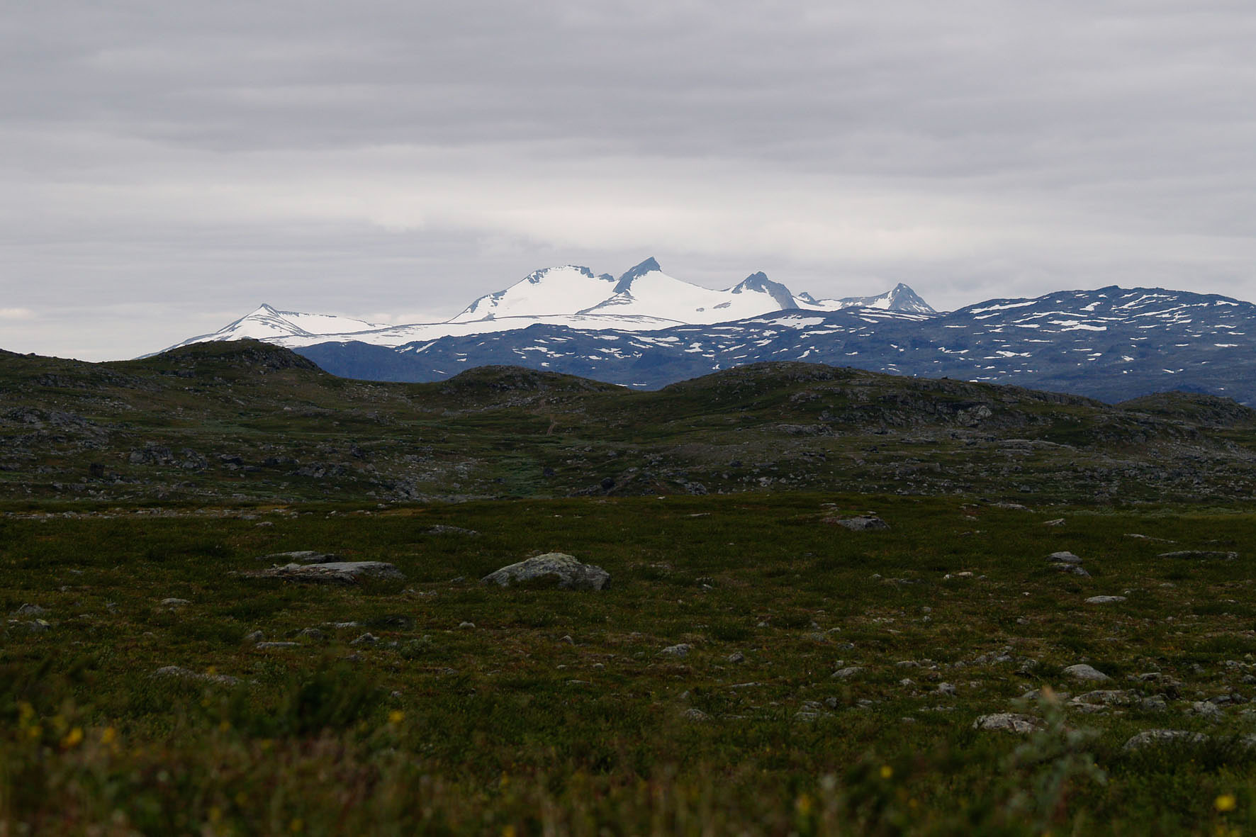 Abisko2008488.jpg