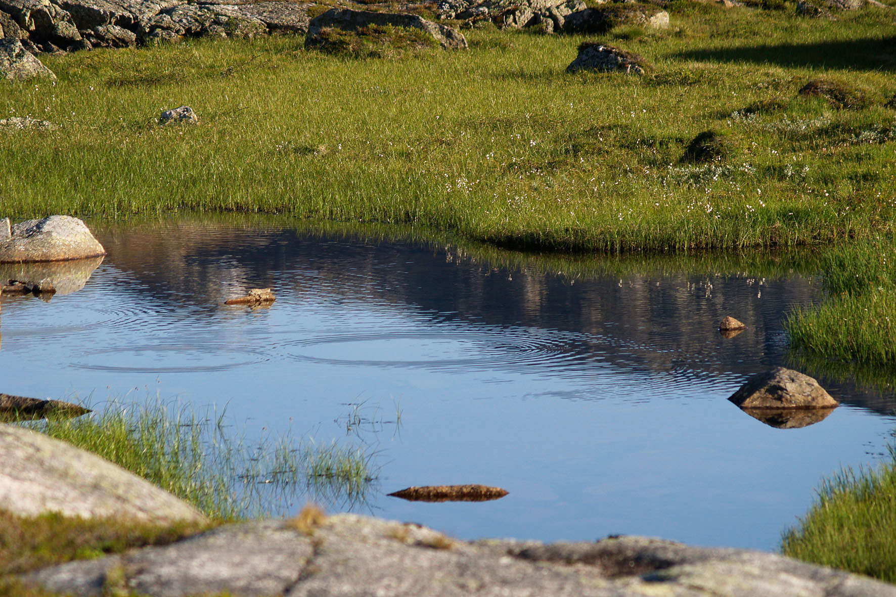 Abisko200850.jpg