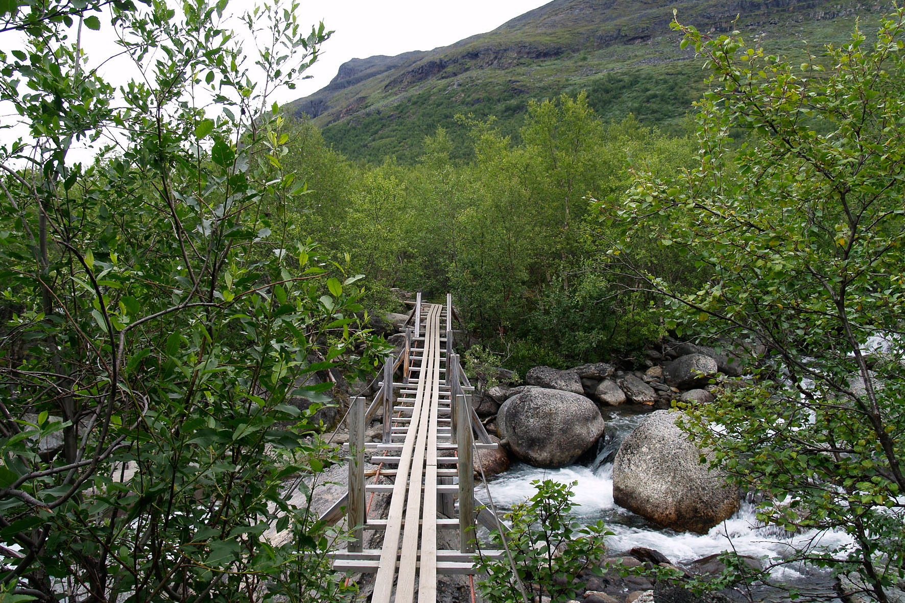 Abisko2008506.jpg