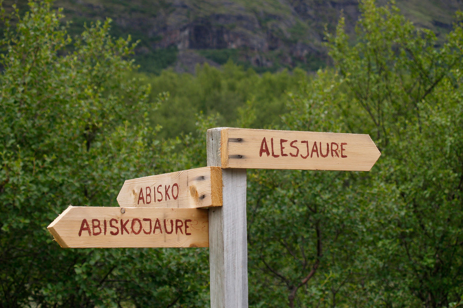 Abisko2008509.jpg