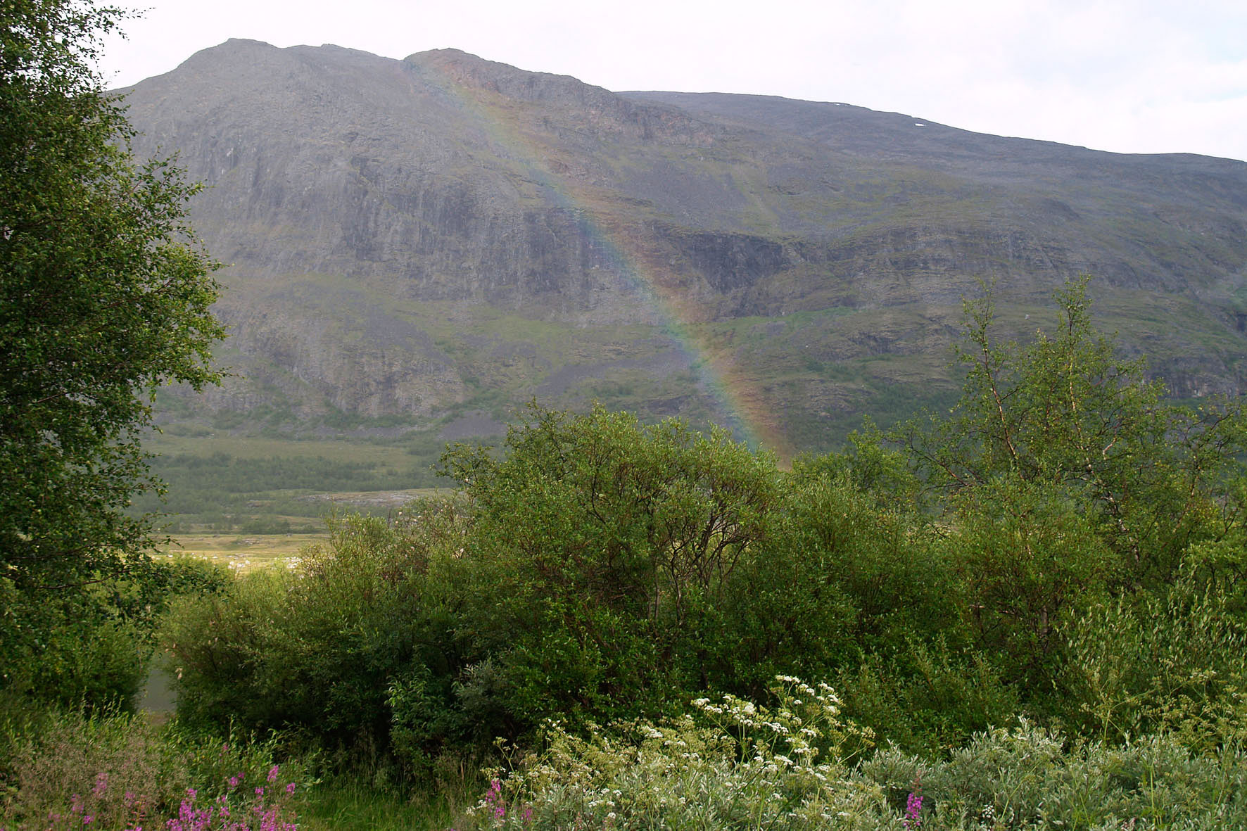 Abisko2008528.jpg