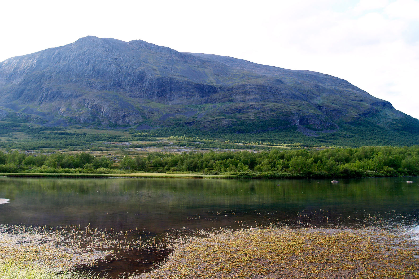 Abisko2008531.jpg