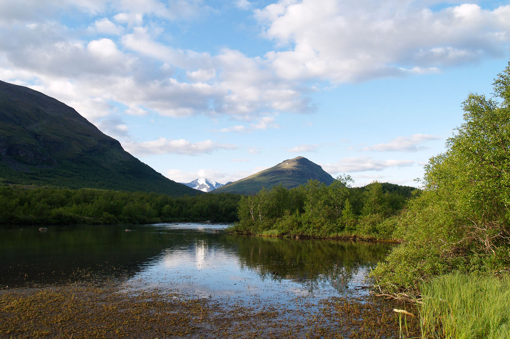 Abisko2008532.jpg