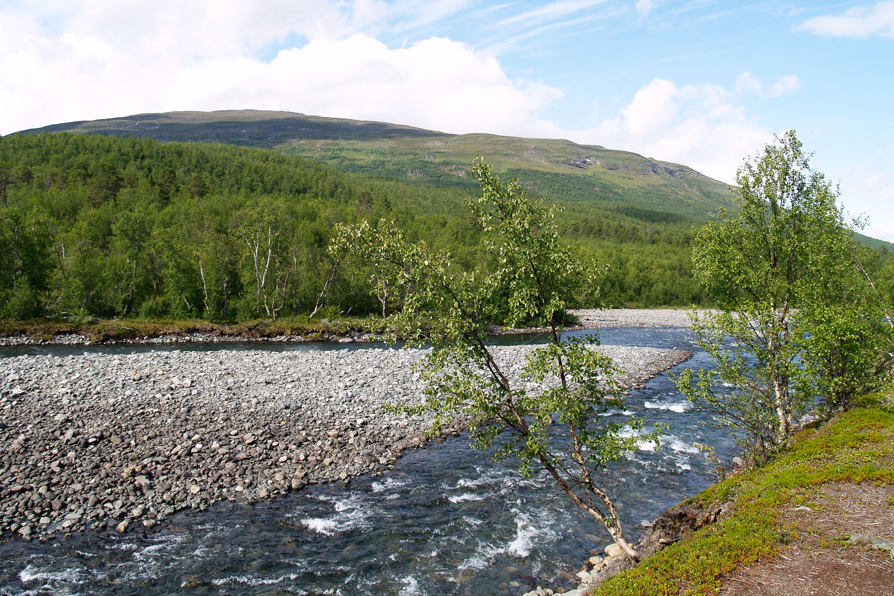 Abisko2008548.jpg