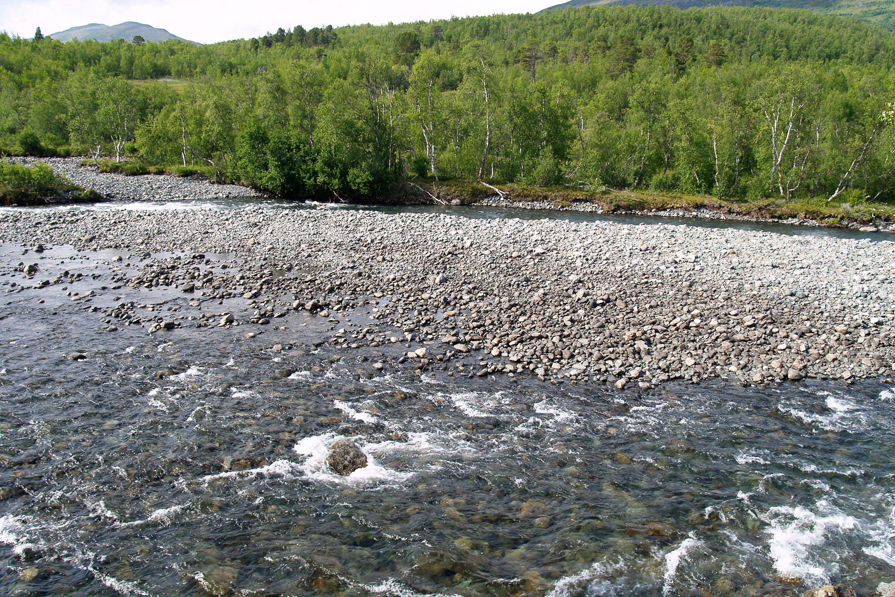 Abisko2008549.jpg