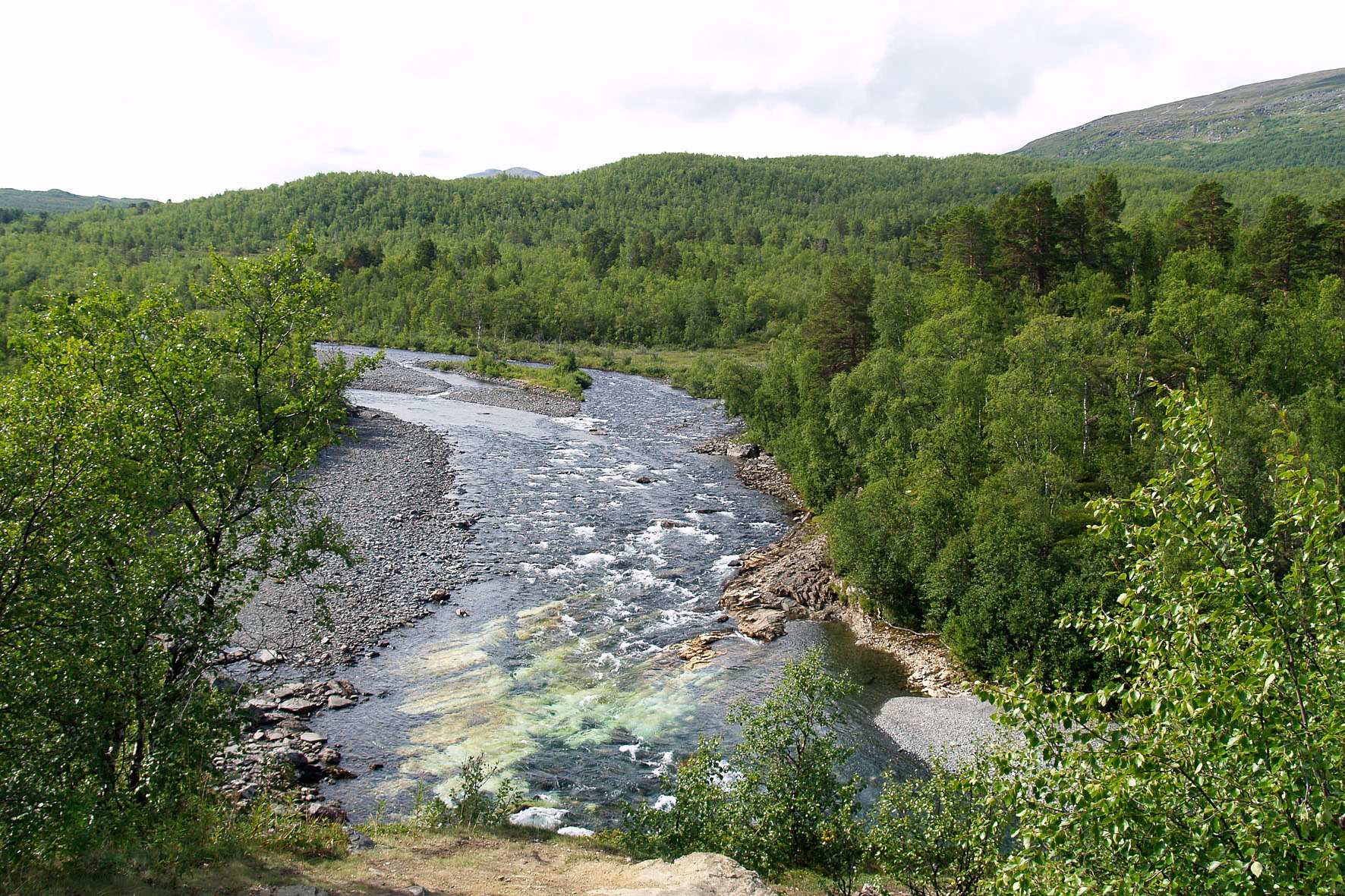 Abisko2008550.jpg