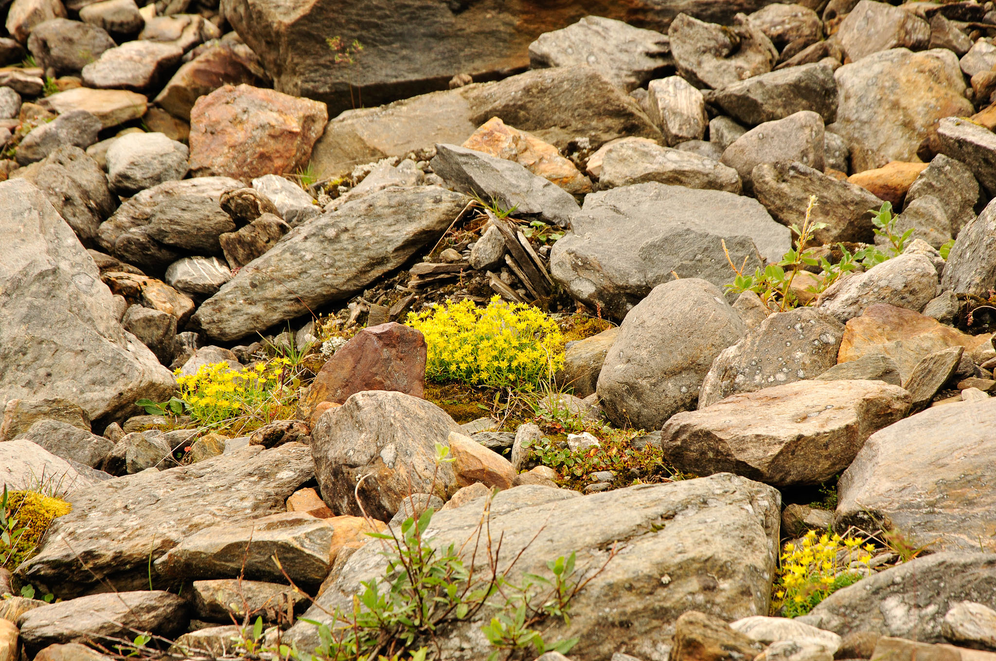 Abisko-2013_-239.jpg