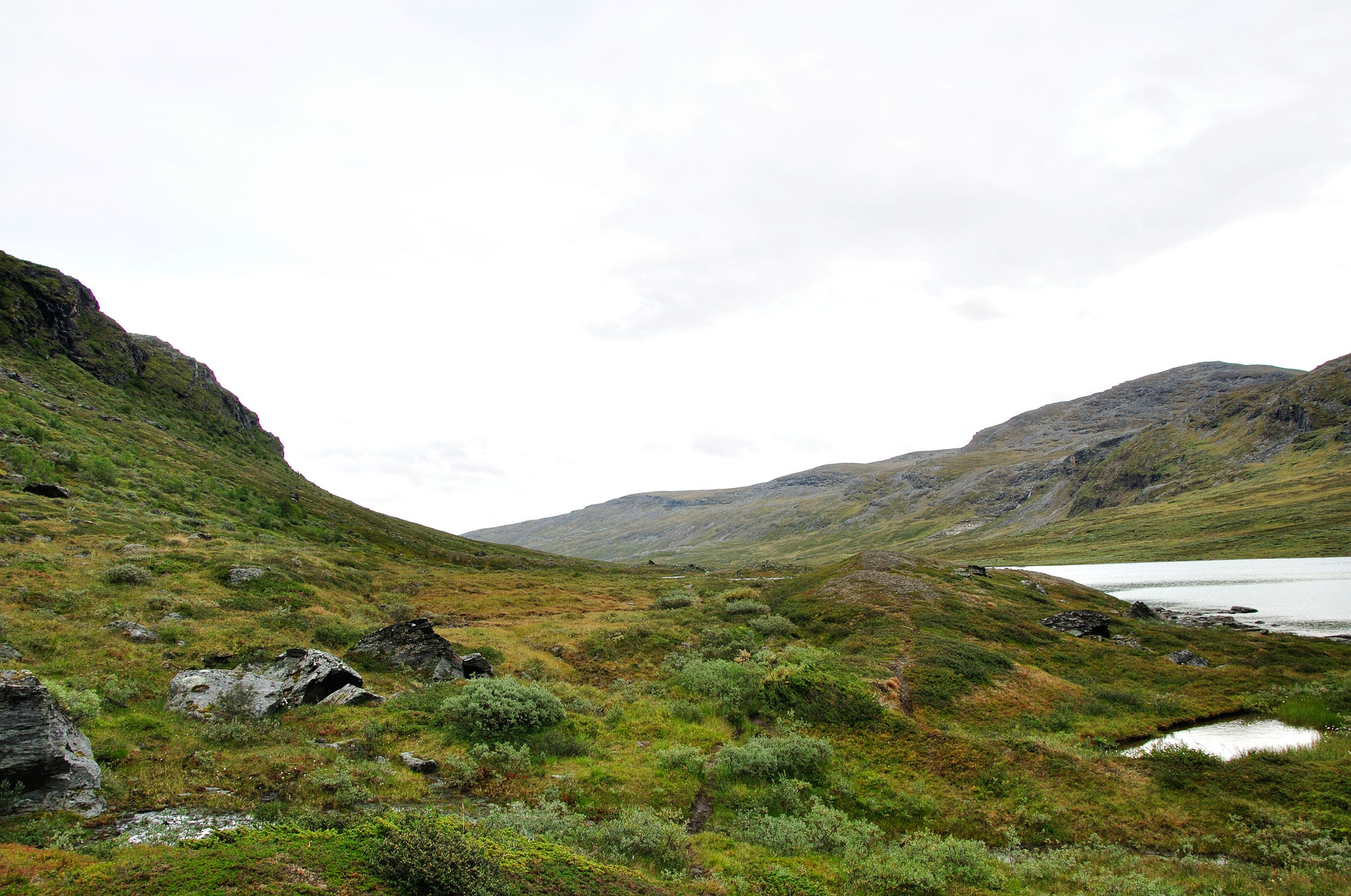 Abisko-2013_-252.jpg