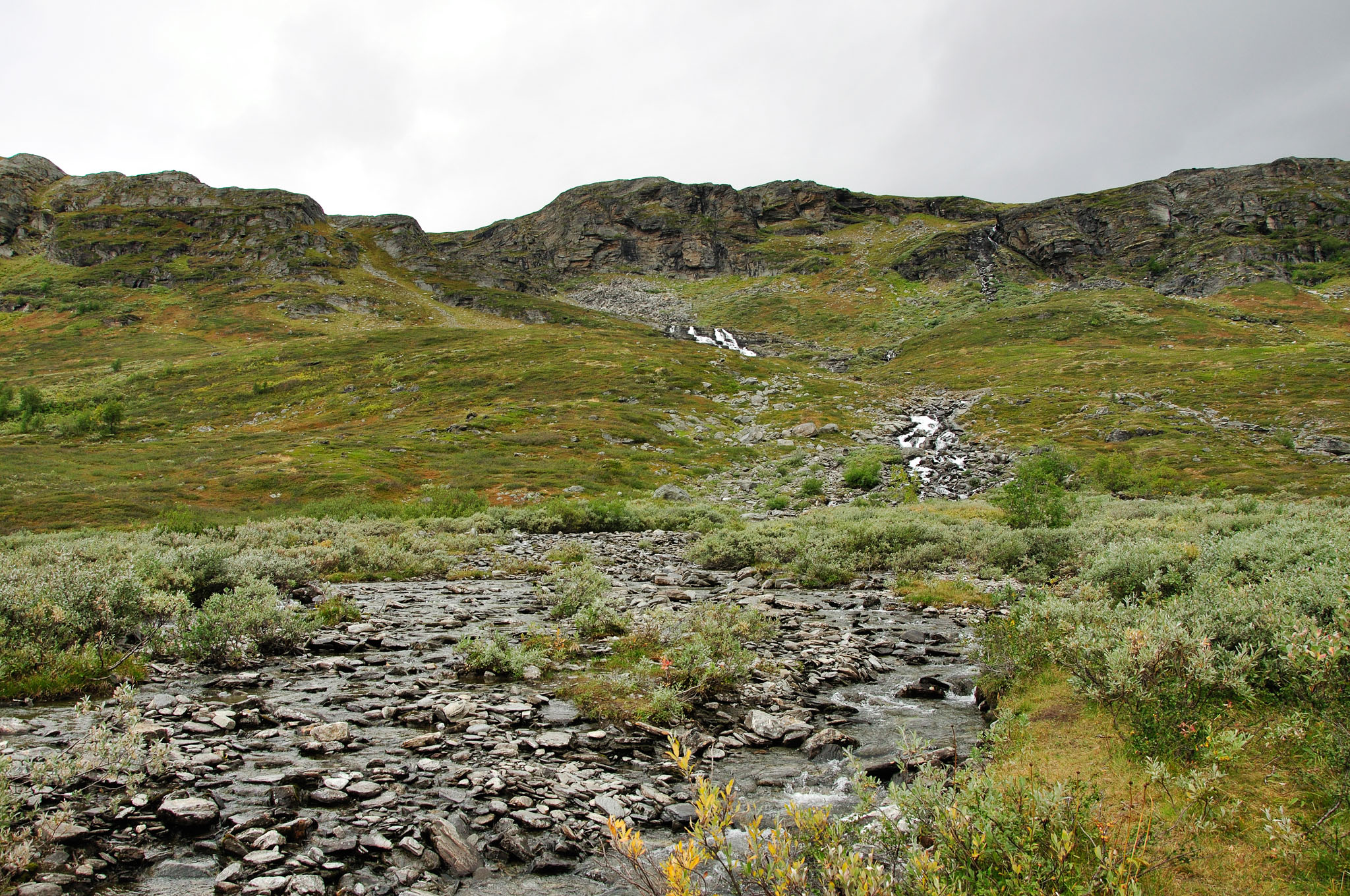 Abisko-2013_-273.jpg