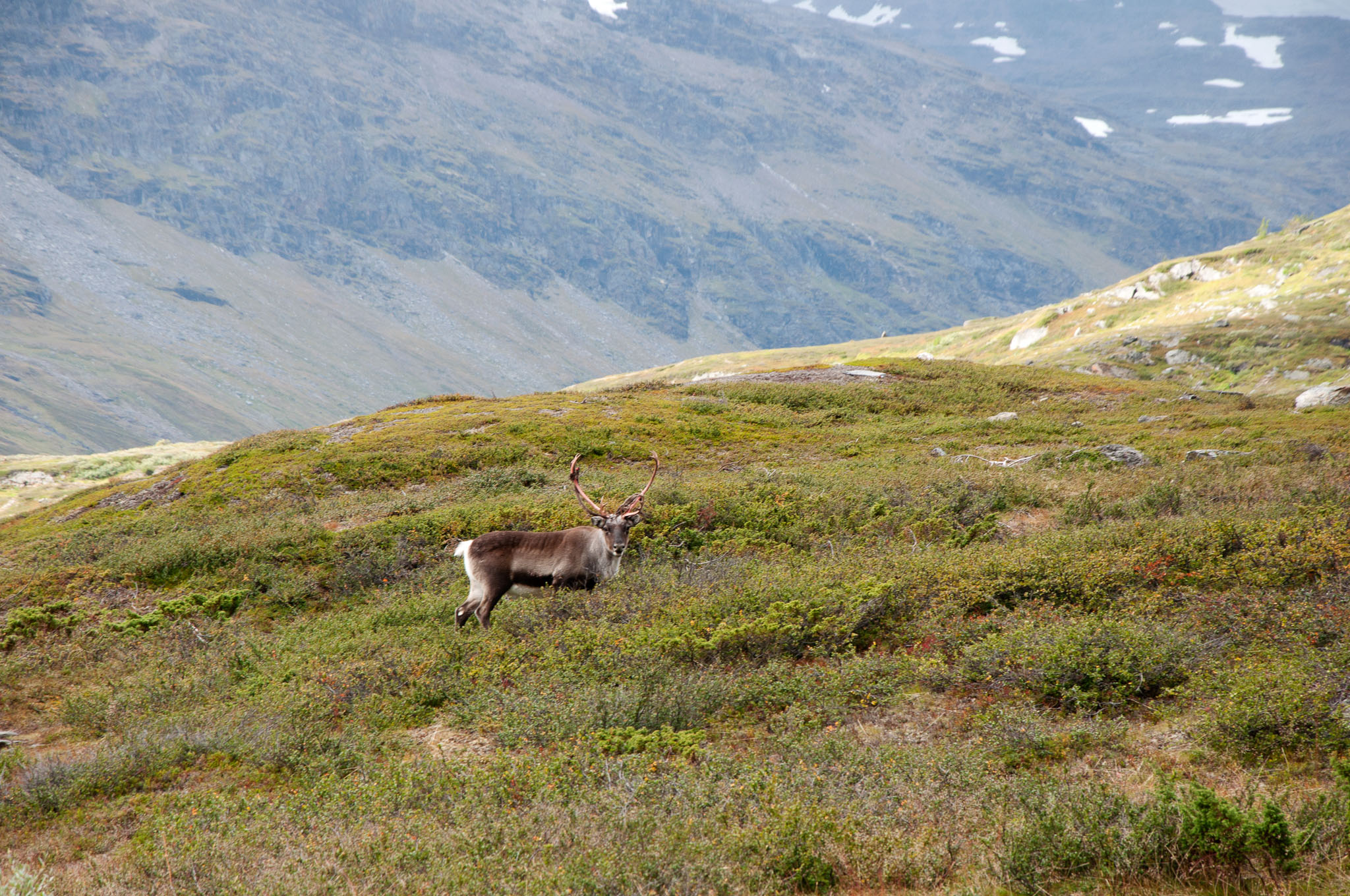 Abisko-2013_-276.jpg