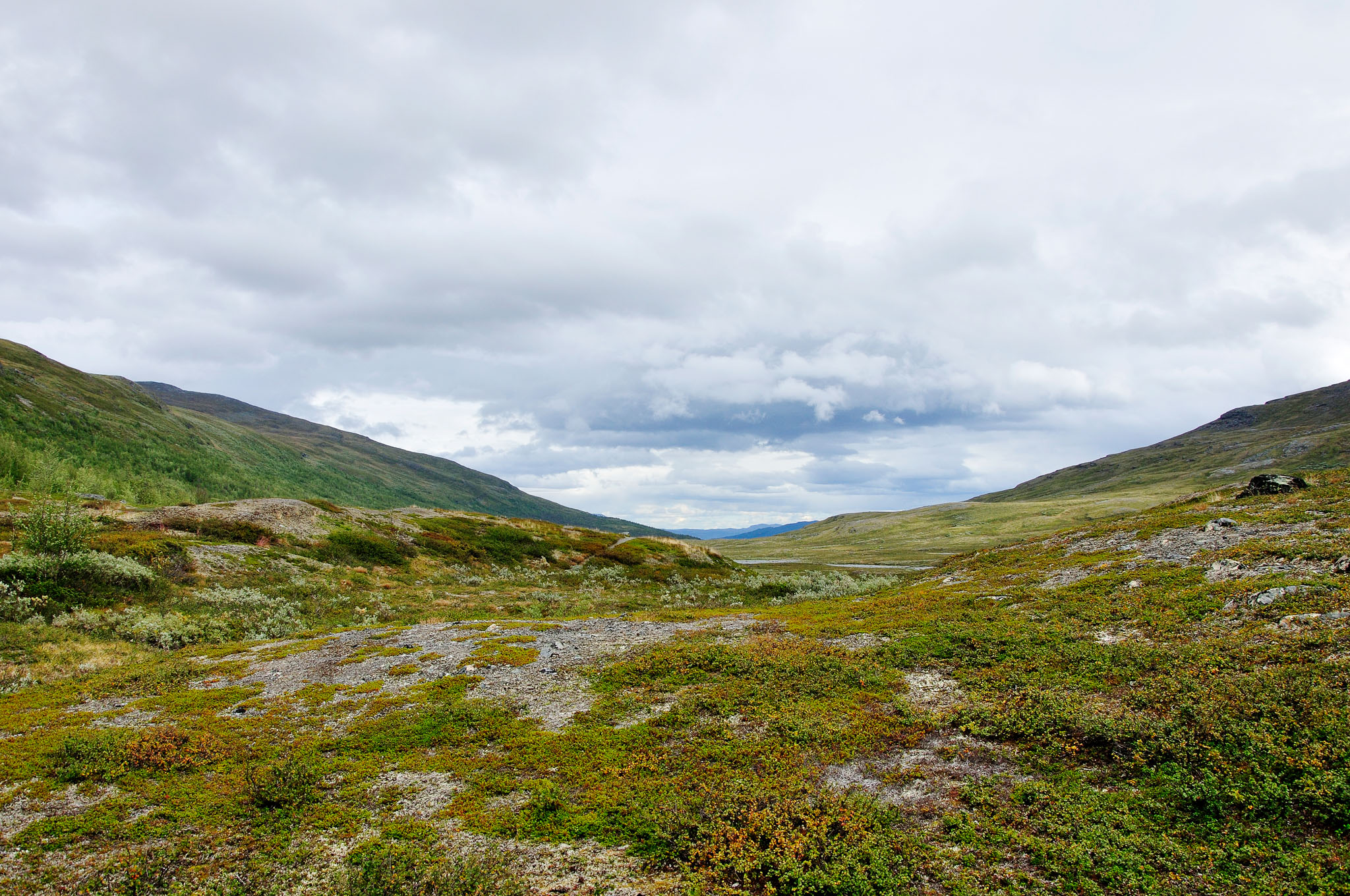 Abisko-2013_-280.jpg