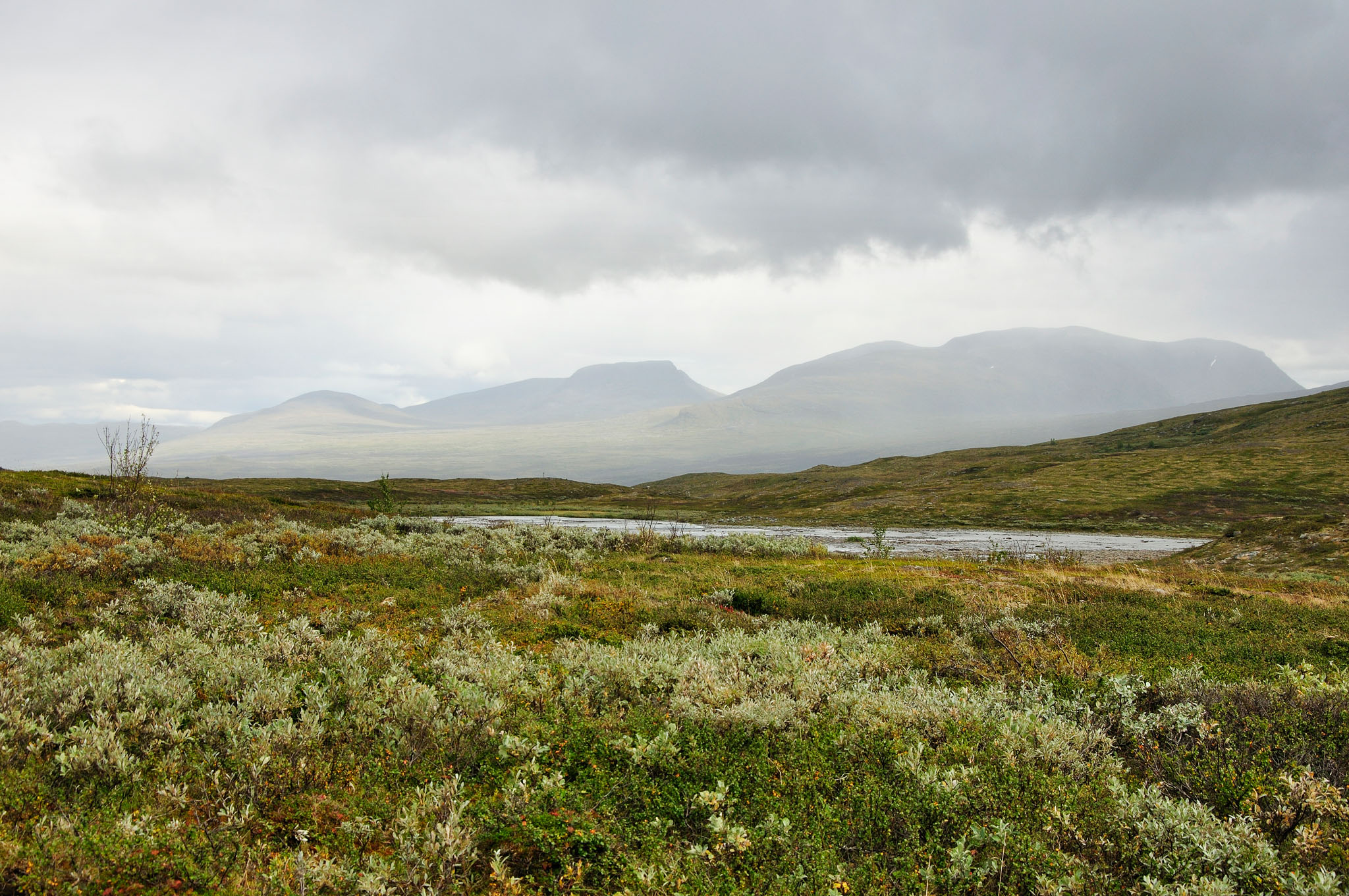 Abisko-2013_-284.jpg