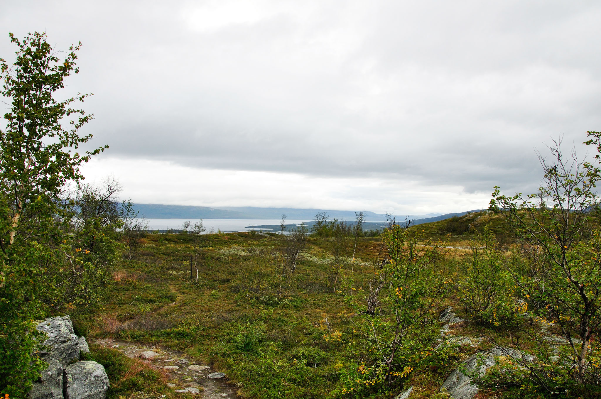 Abisko-2013_-303.jpg