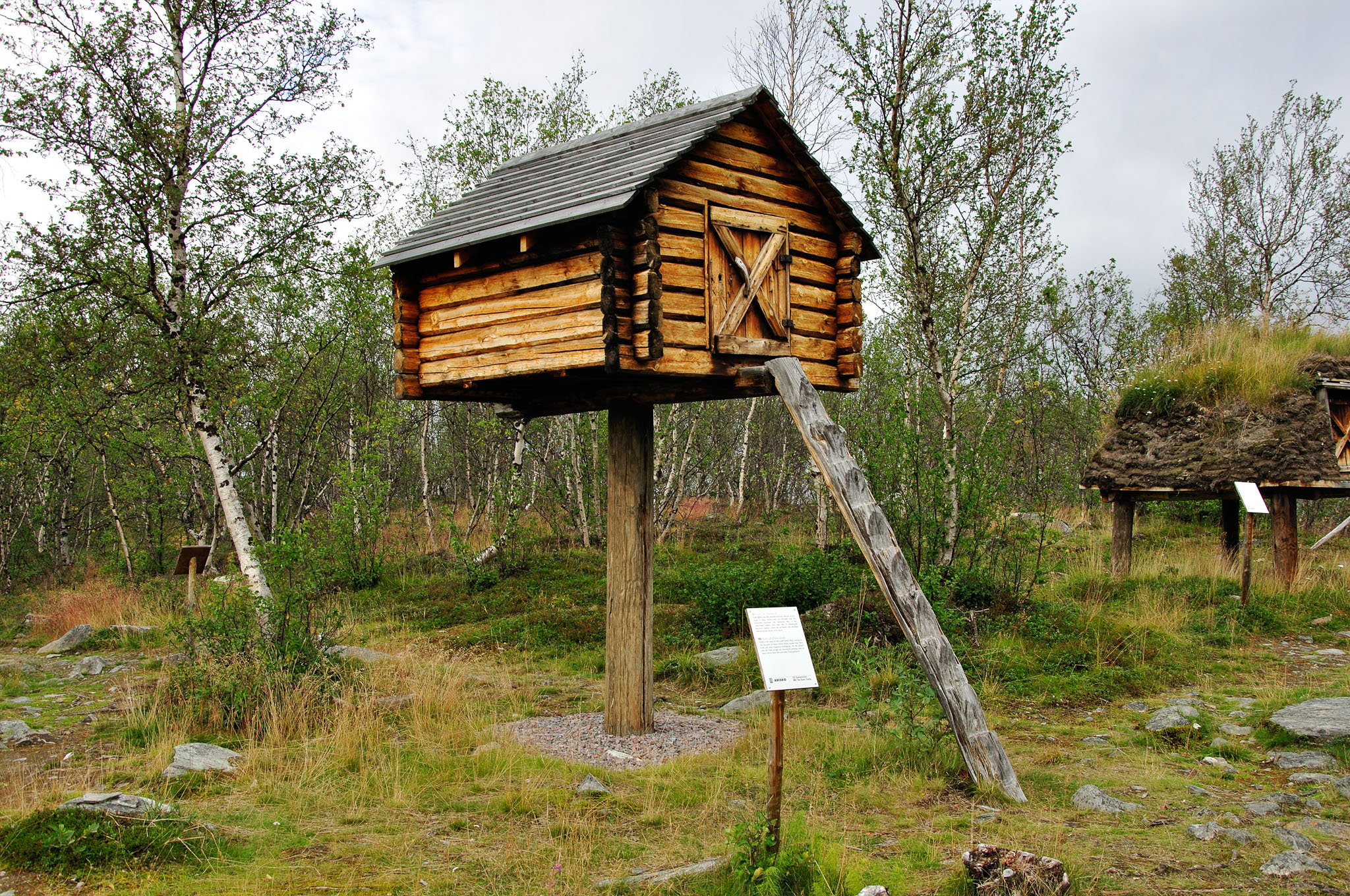 Abisko-2013_-306.jpg