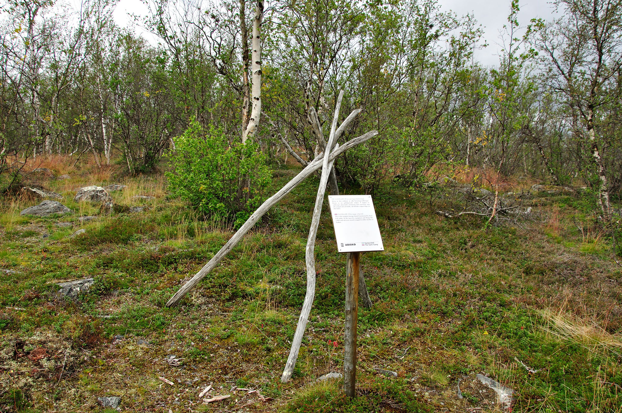 Abisko-2013_-311.jpg