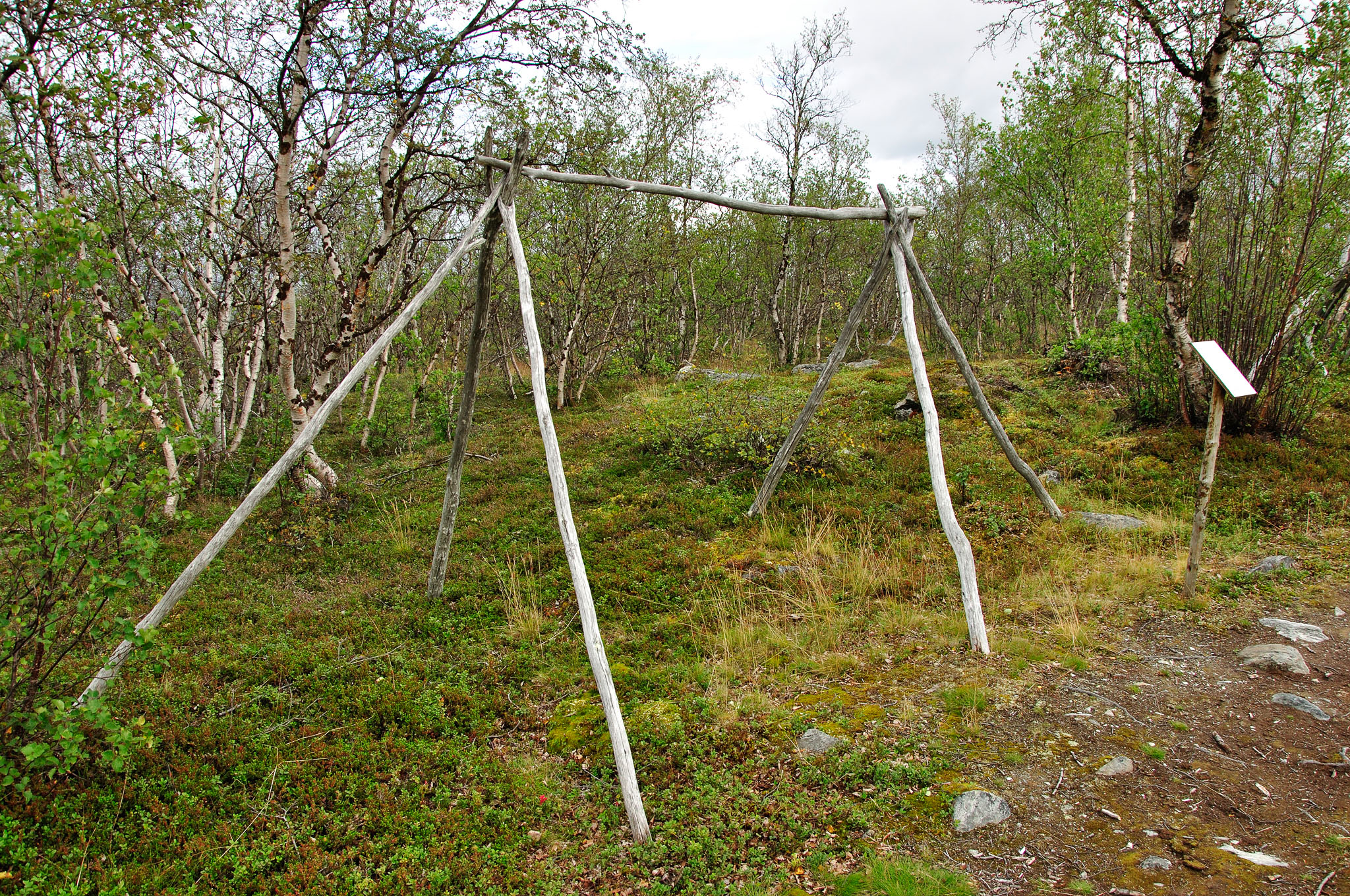 Abisko-2013_-313.jpg