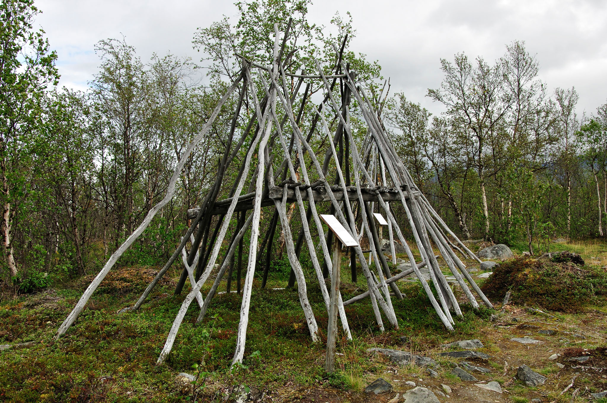 Abisko-2013_-315.jpg