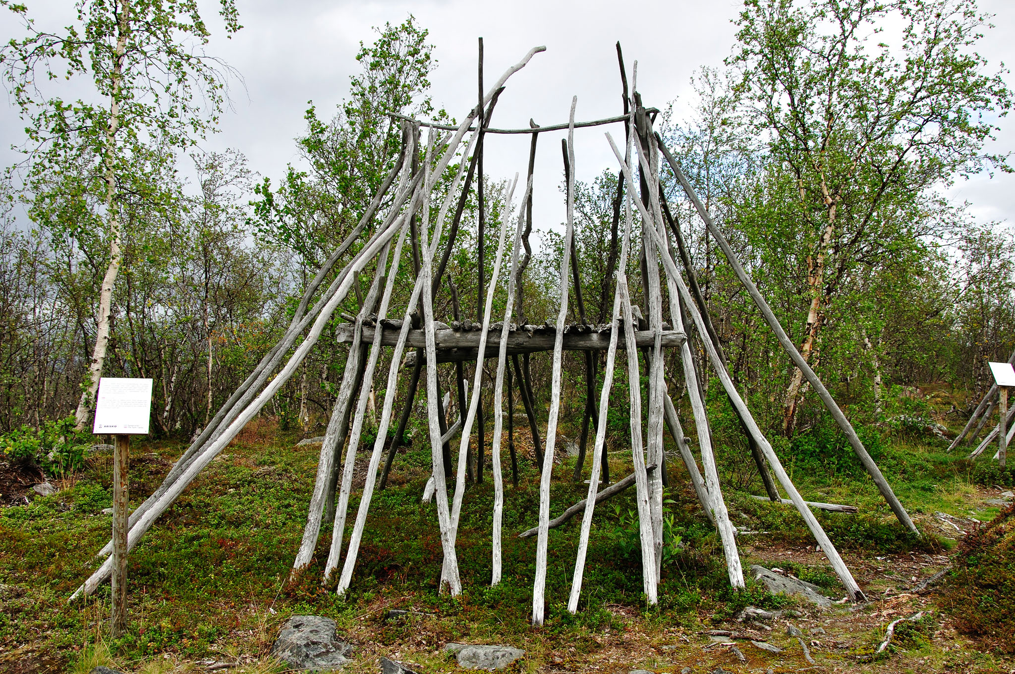 Abisko-2013_-317.jpg