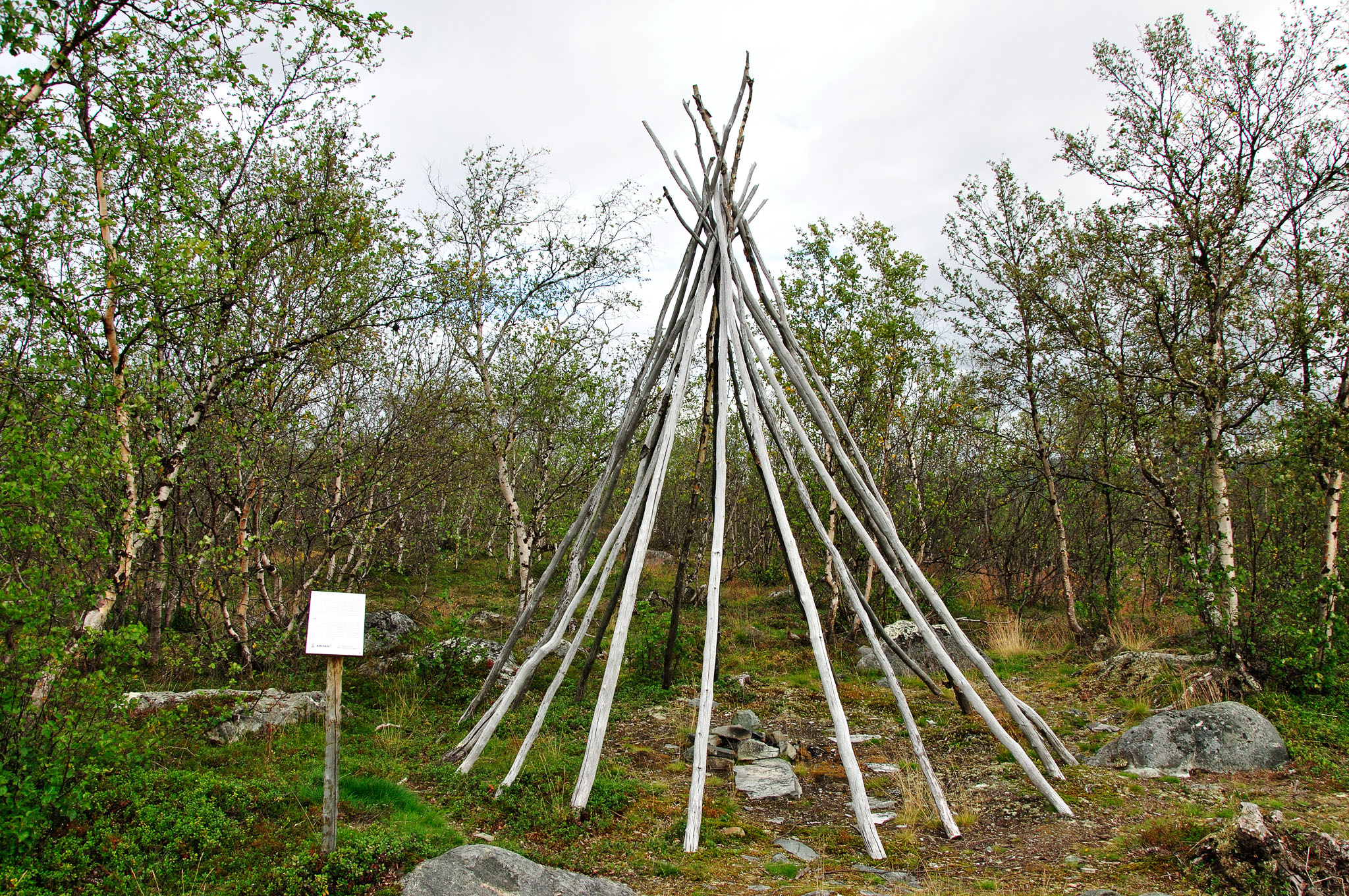 Abisko-2013_-318.jpg