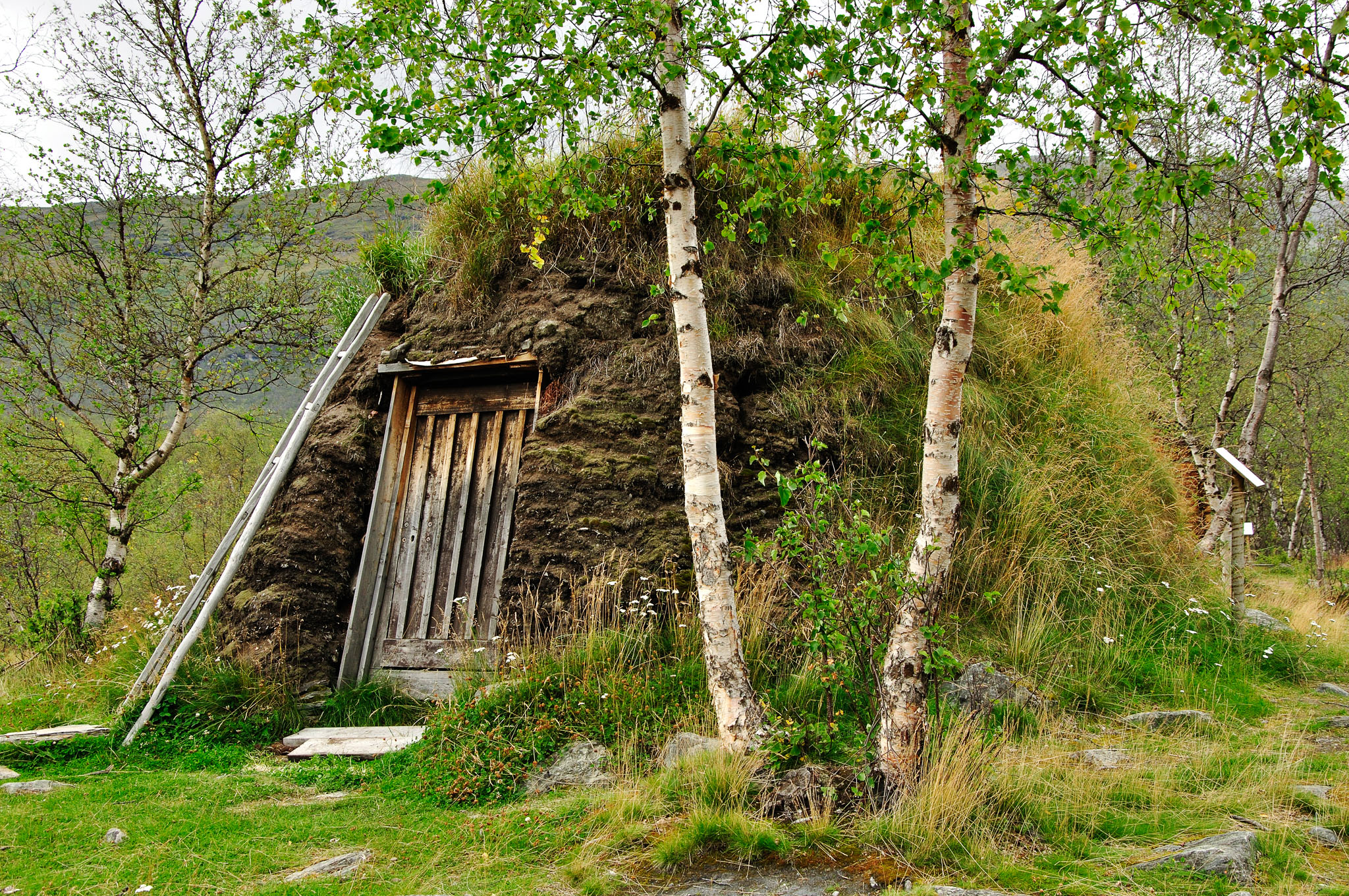 Abisko-2013_-324.jpg