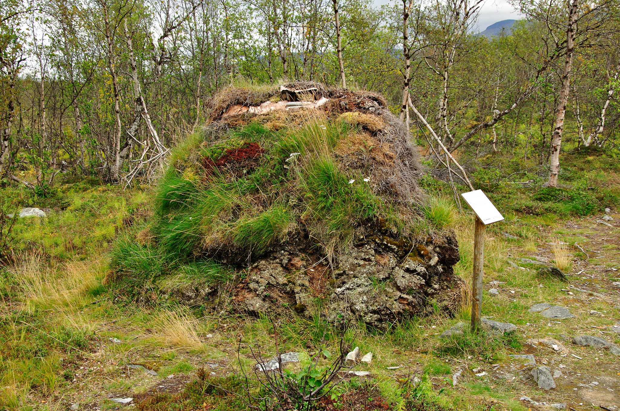 Abisko-2013_-326.jpg